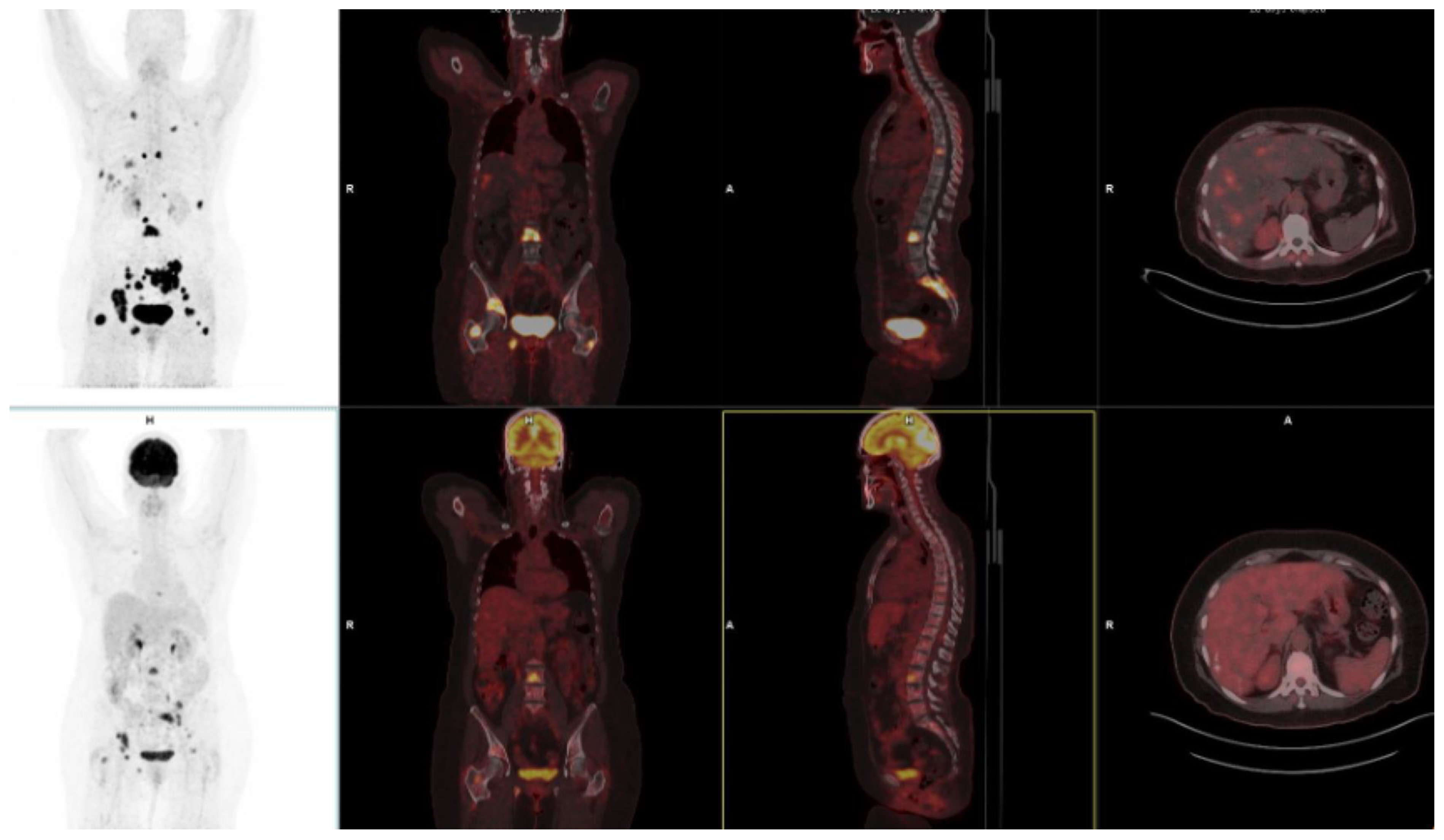 Pharmaceuticals 18 00522 g003