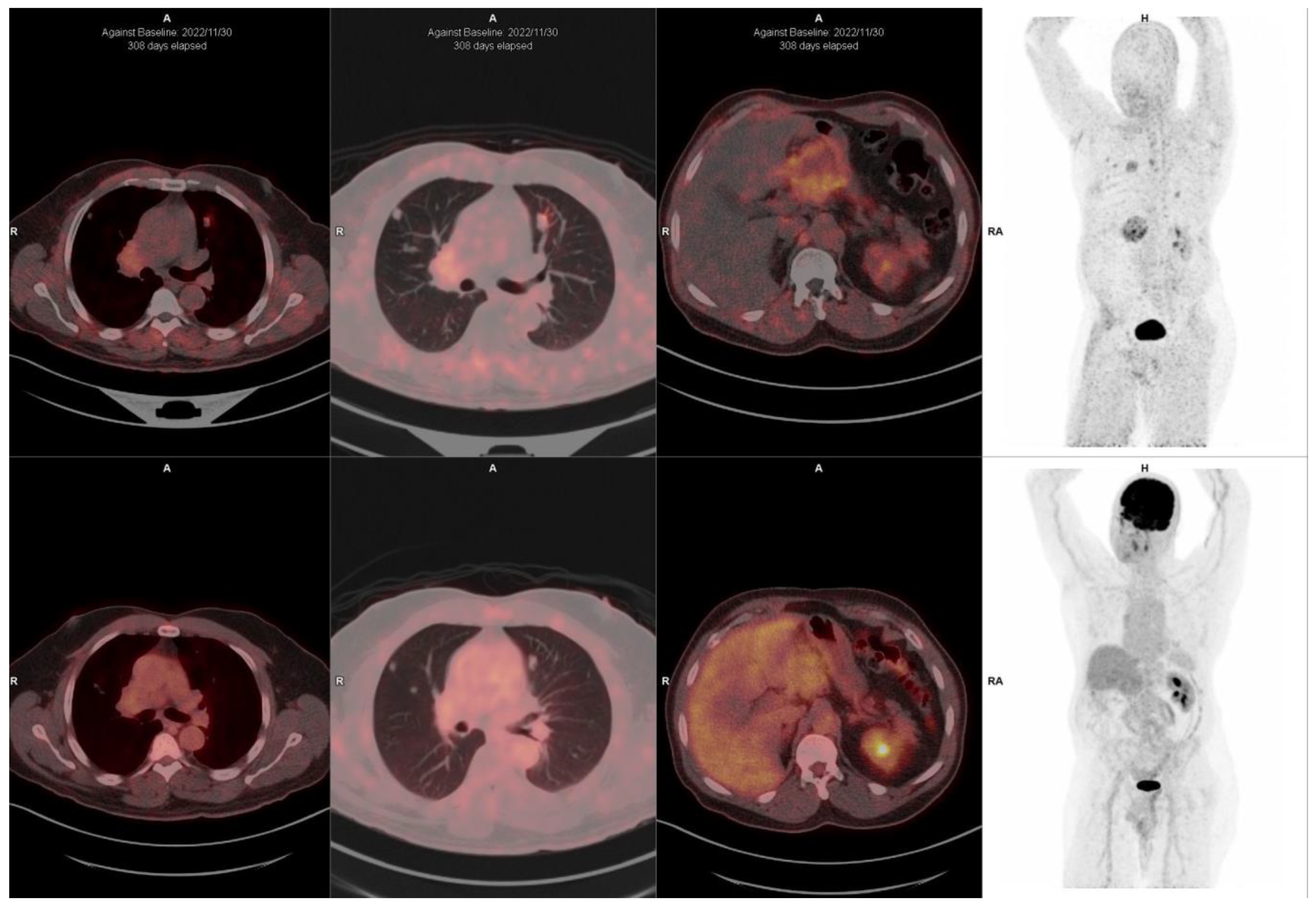 Pharmaceuticals 18 00522 g005