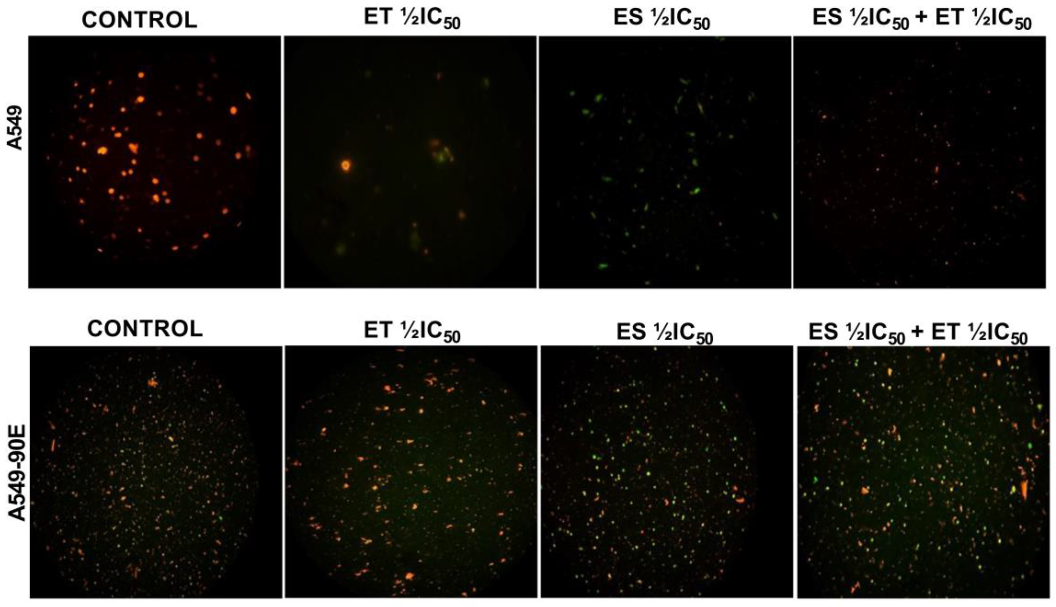 Pharmaceuticals 18 00531 g007