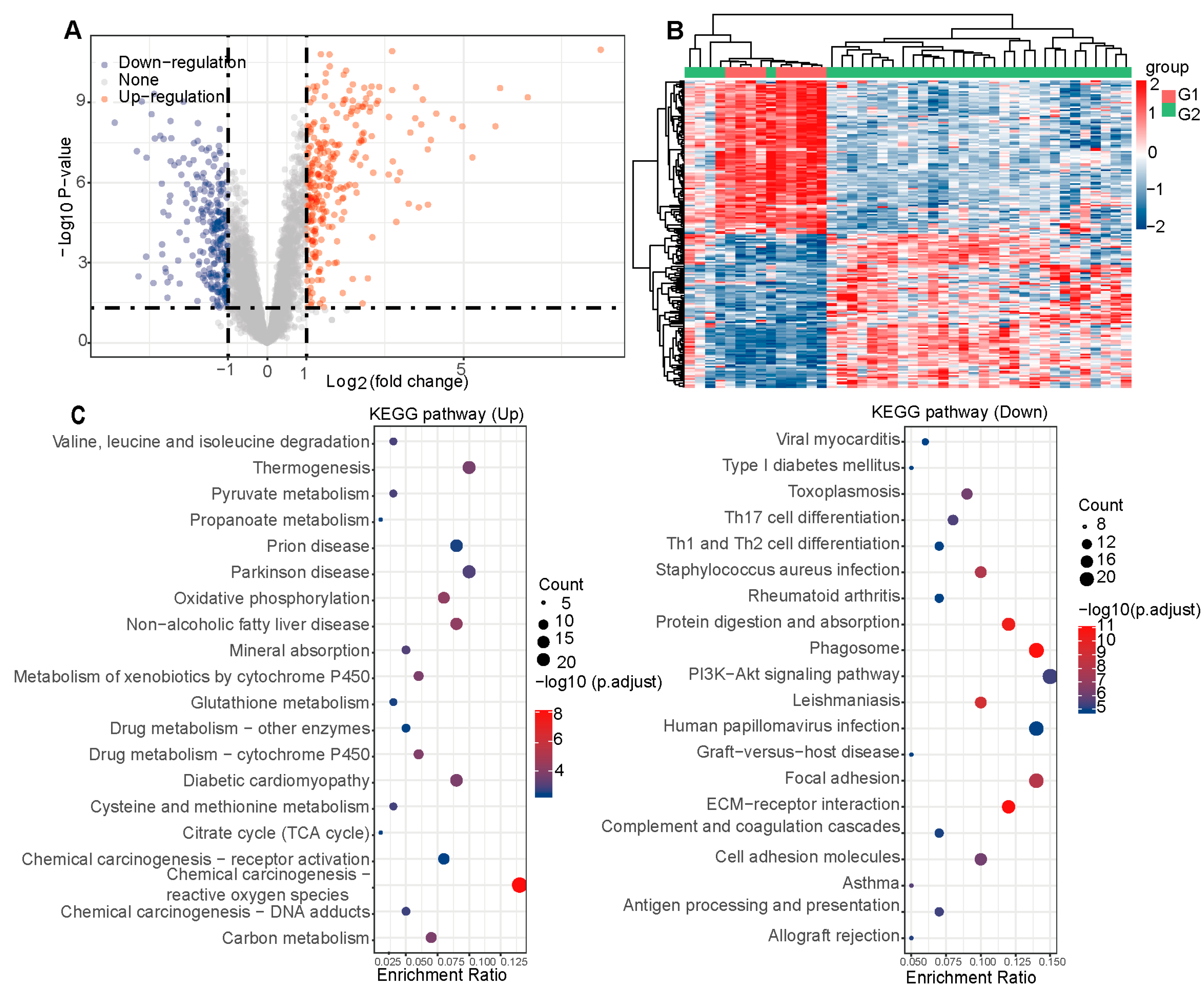 Pharmaceuticals 18 00537 g002