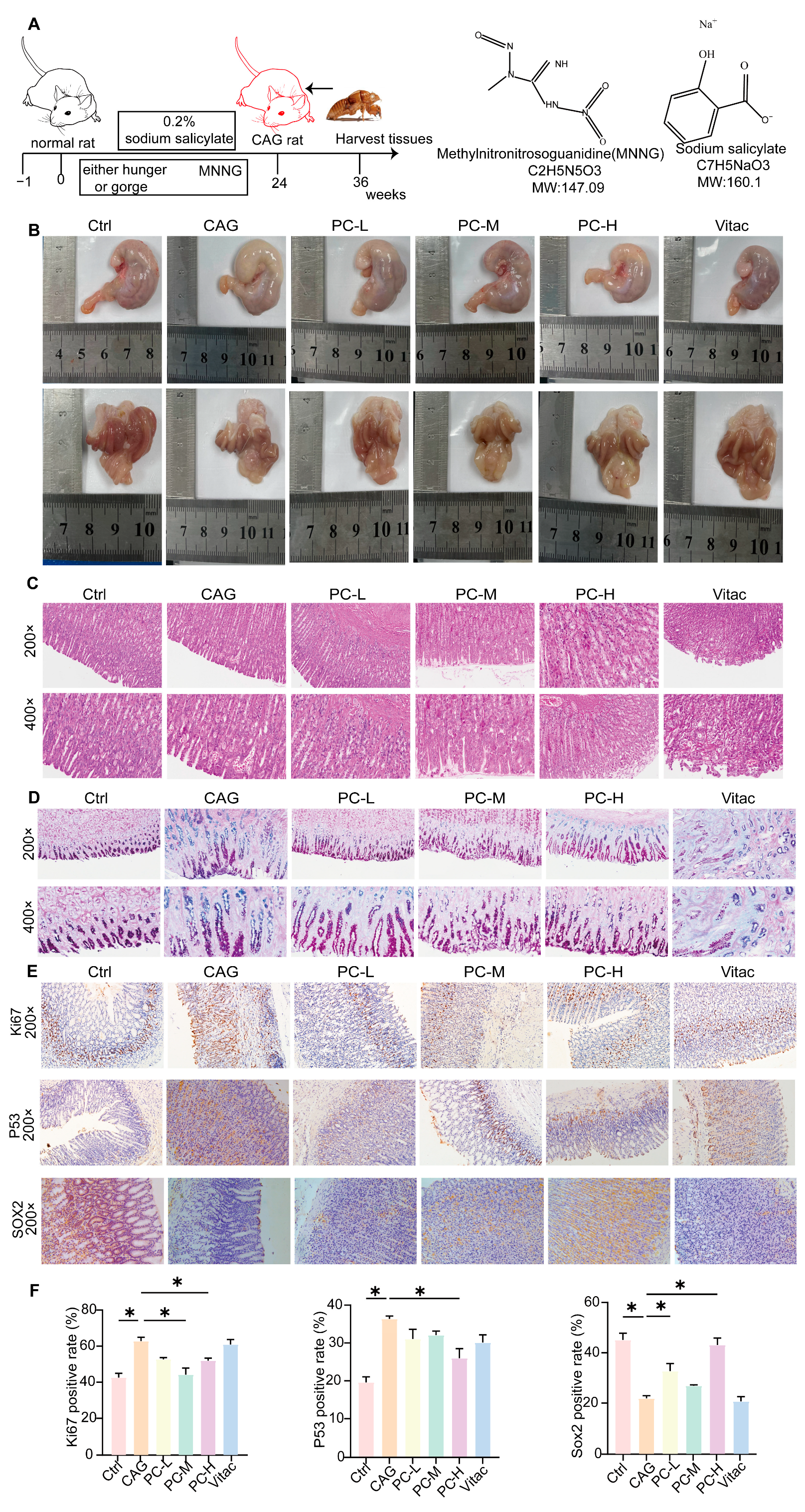 Pharmaceuticals 18 00537 g006