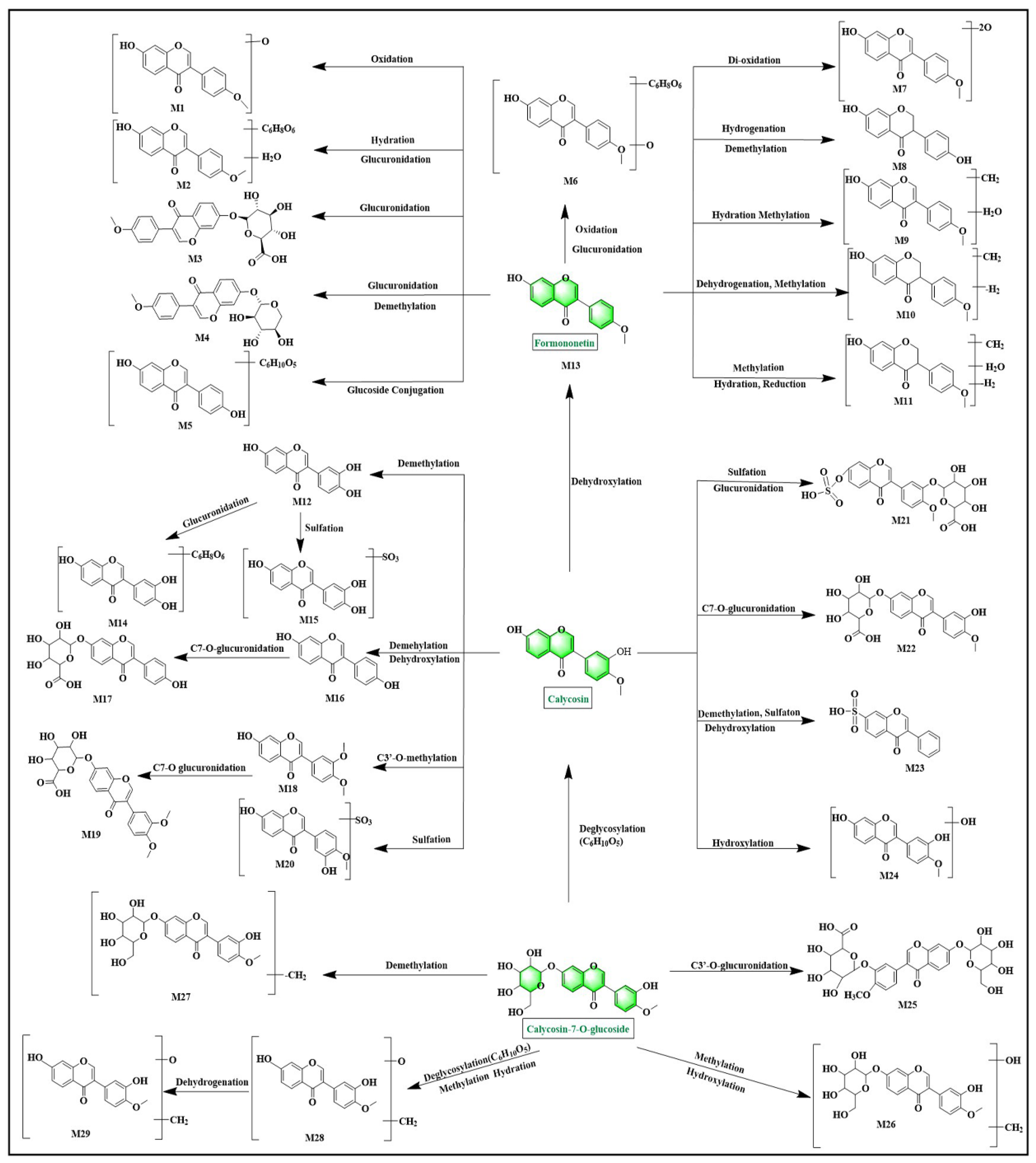 Pharmaceuticals 18 00540 g005