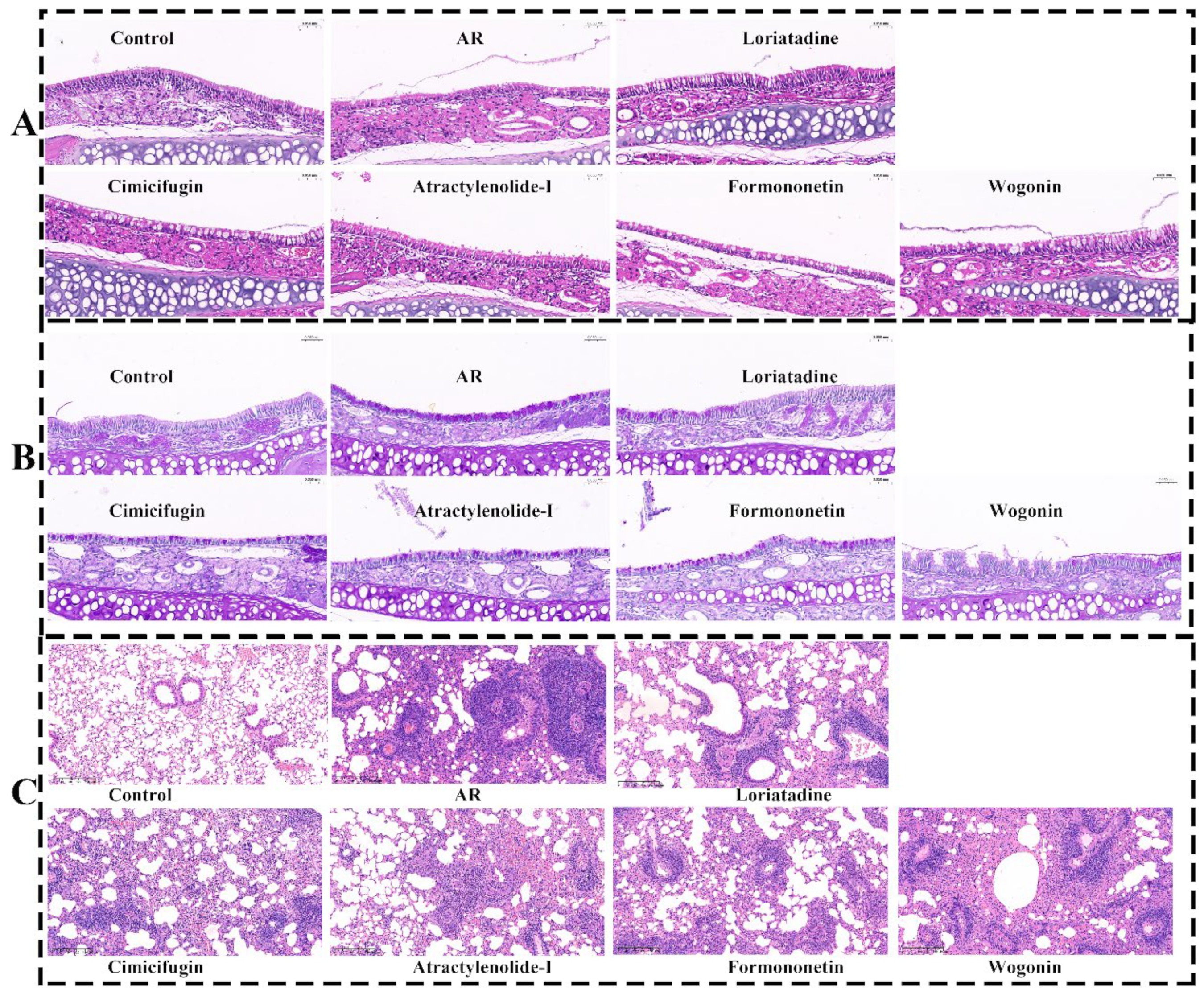 Pharmaceuticals 18 00540 g011