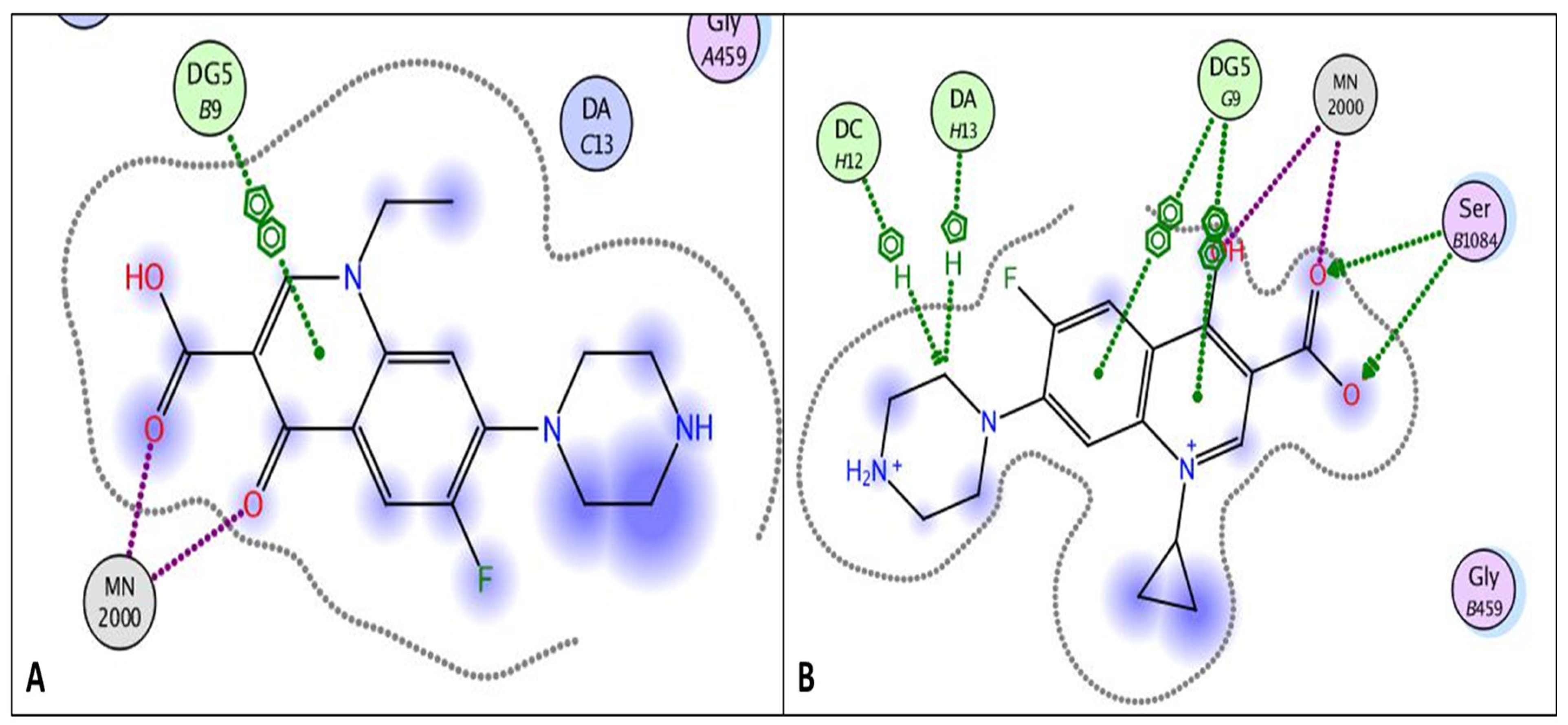 Pharmaceuticals 18 00545 g002