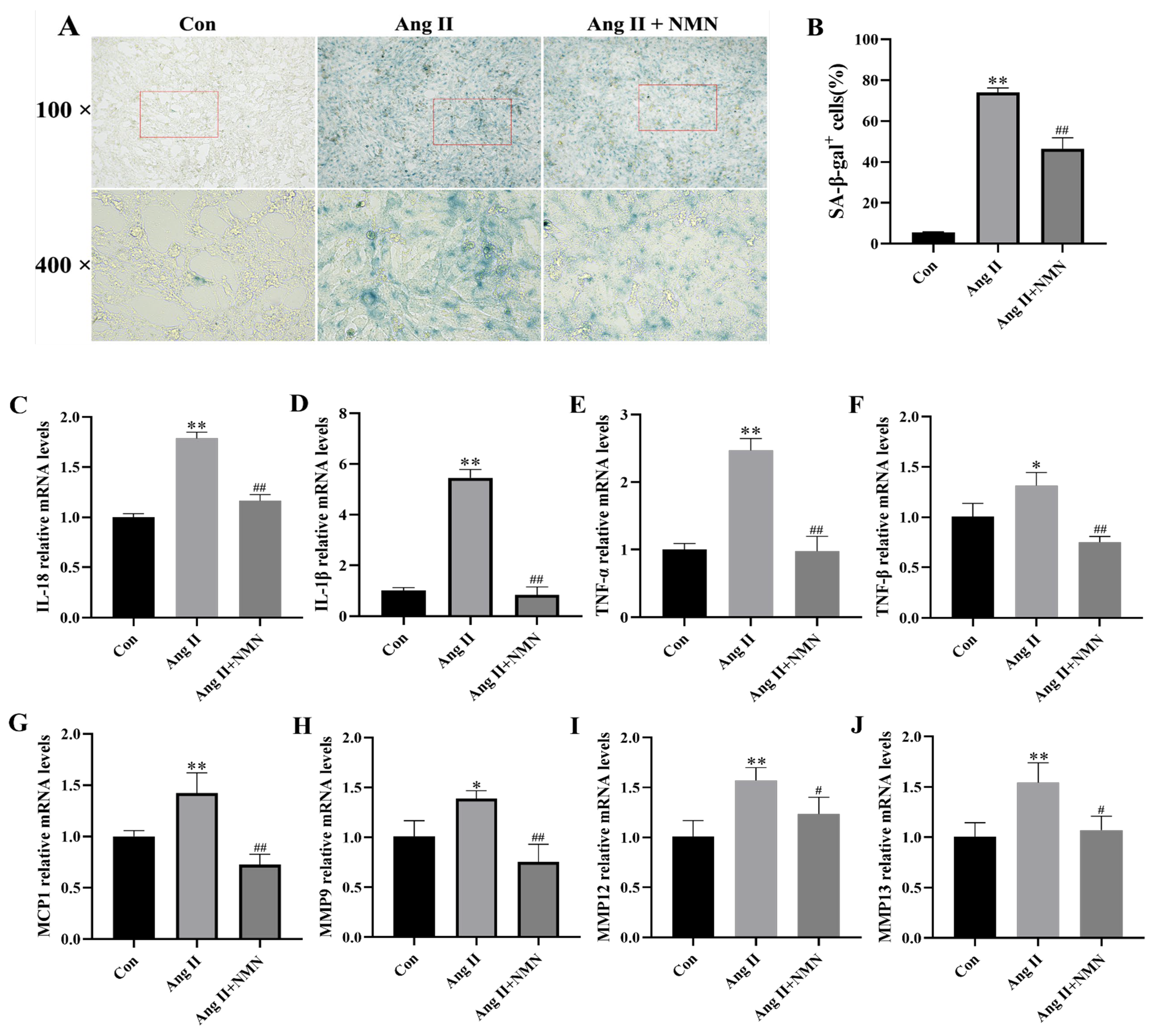 Pharmaceuticals 18 00553 g001