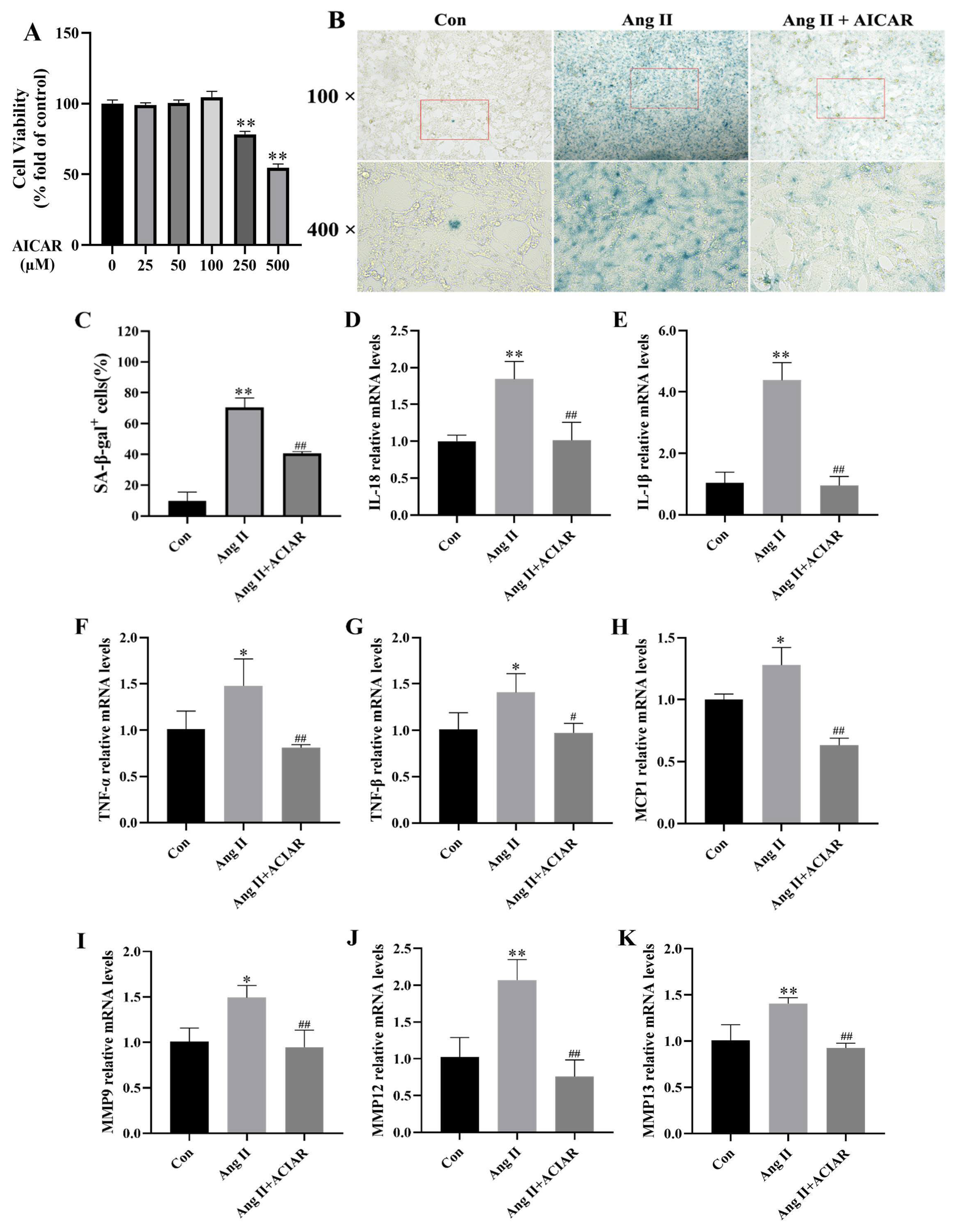 Pharmaceuticals 18 00553 g003
