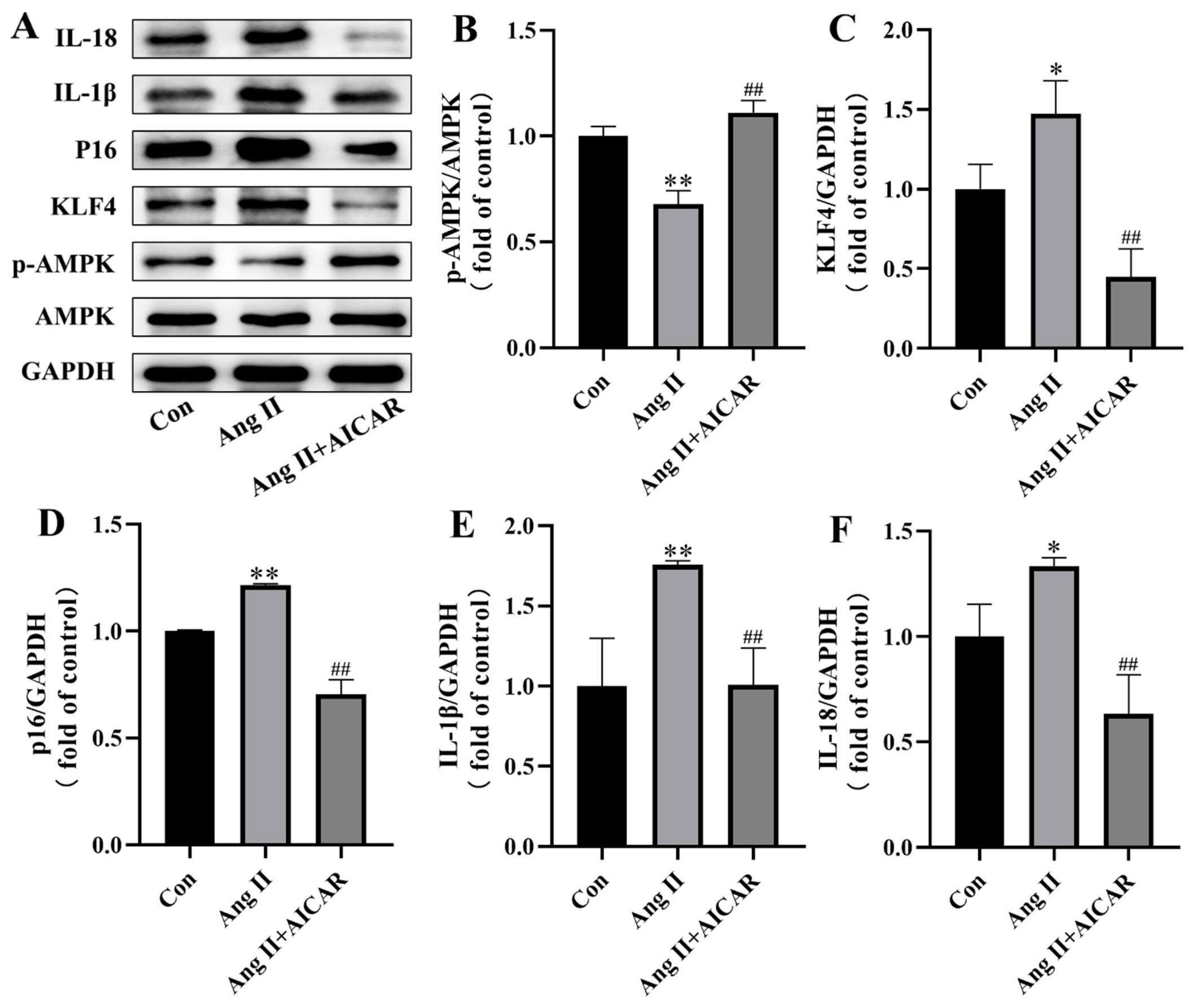 Pharmaceuticals 18 00553 g004