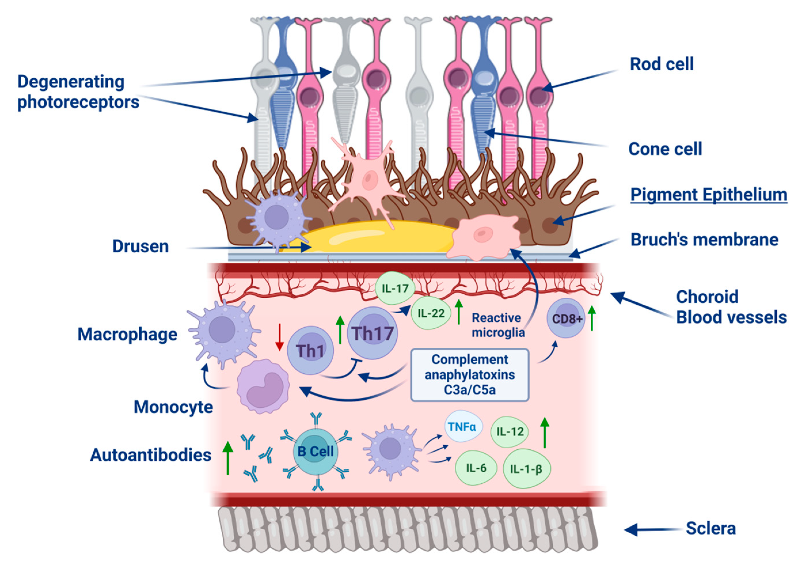 Pharmaceuticals 18 00554 g002
