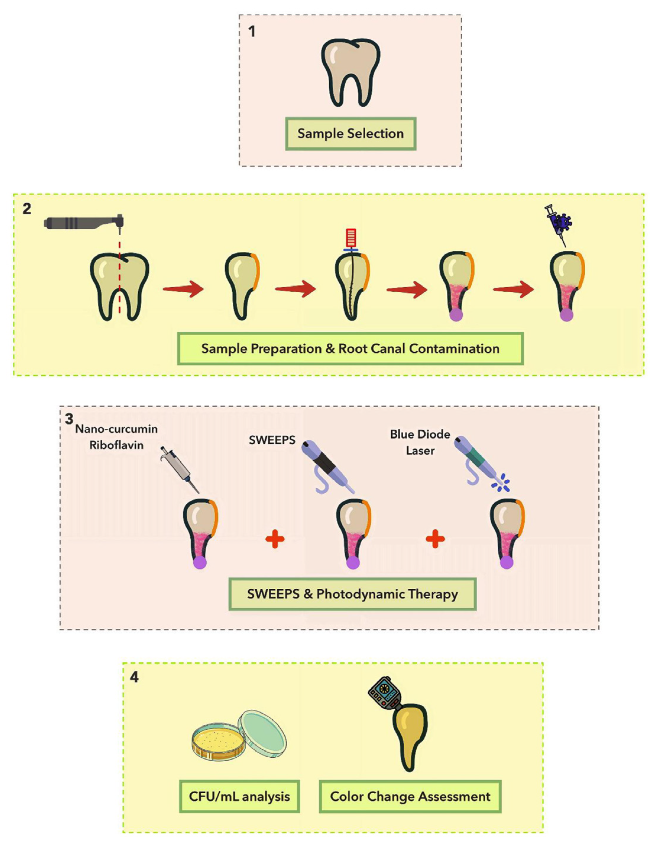 Pharmaceuticals 18 00558 g003