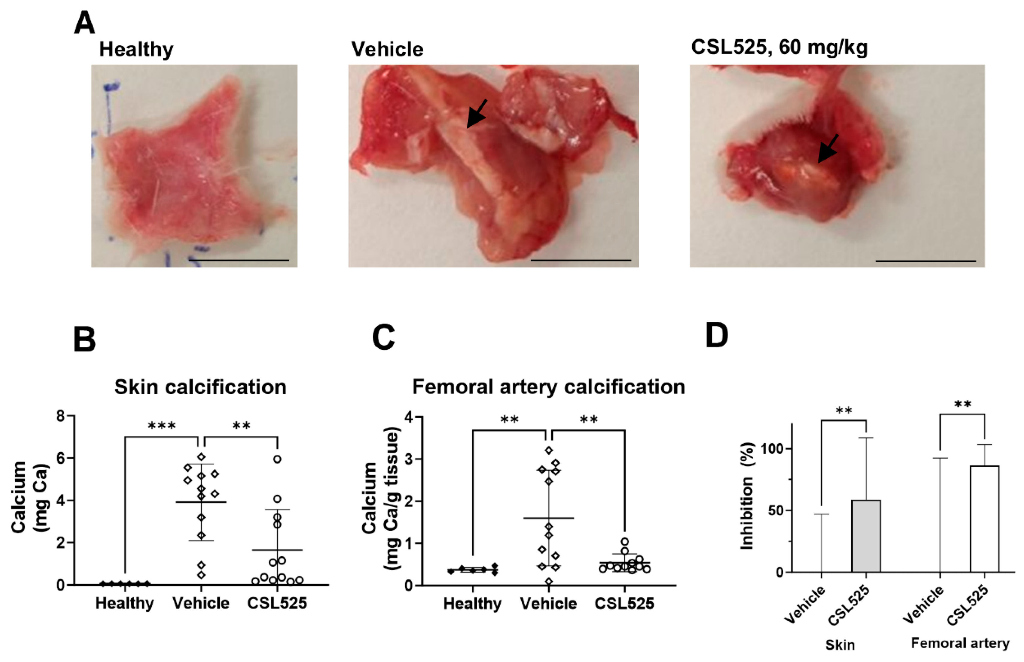 Pharmaceuticals 18 00567 g004 Pharmaceuticals 18 00567 g004