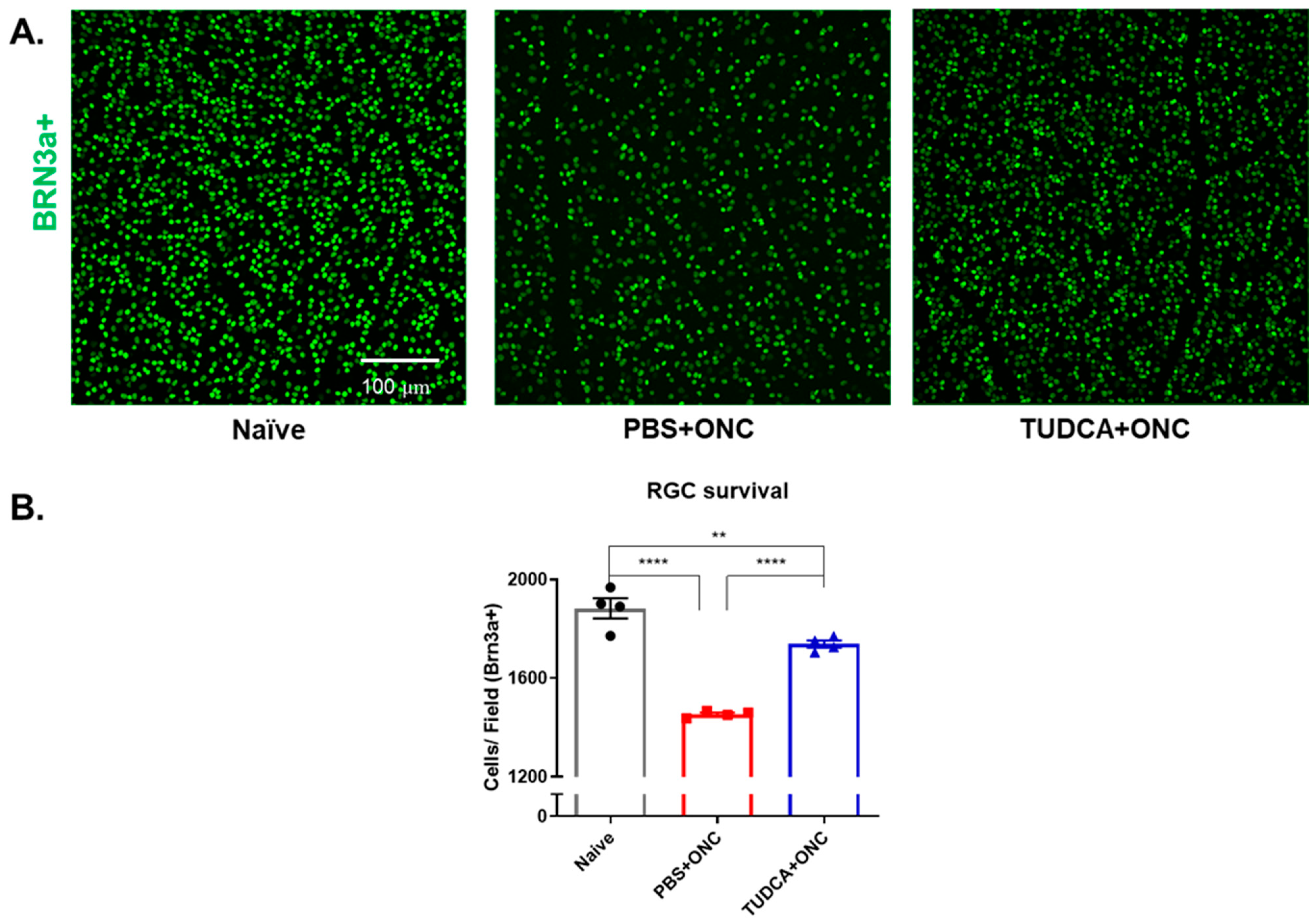 Pharmaceuticals 18 00569 g002
