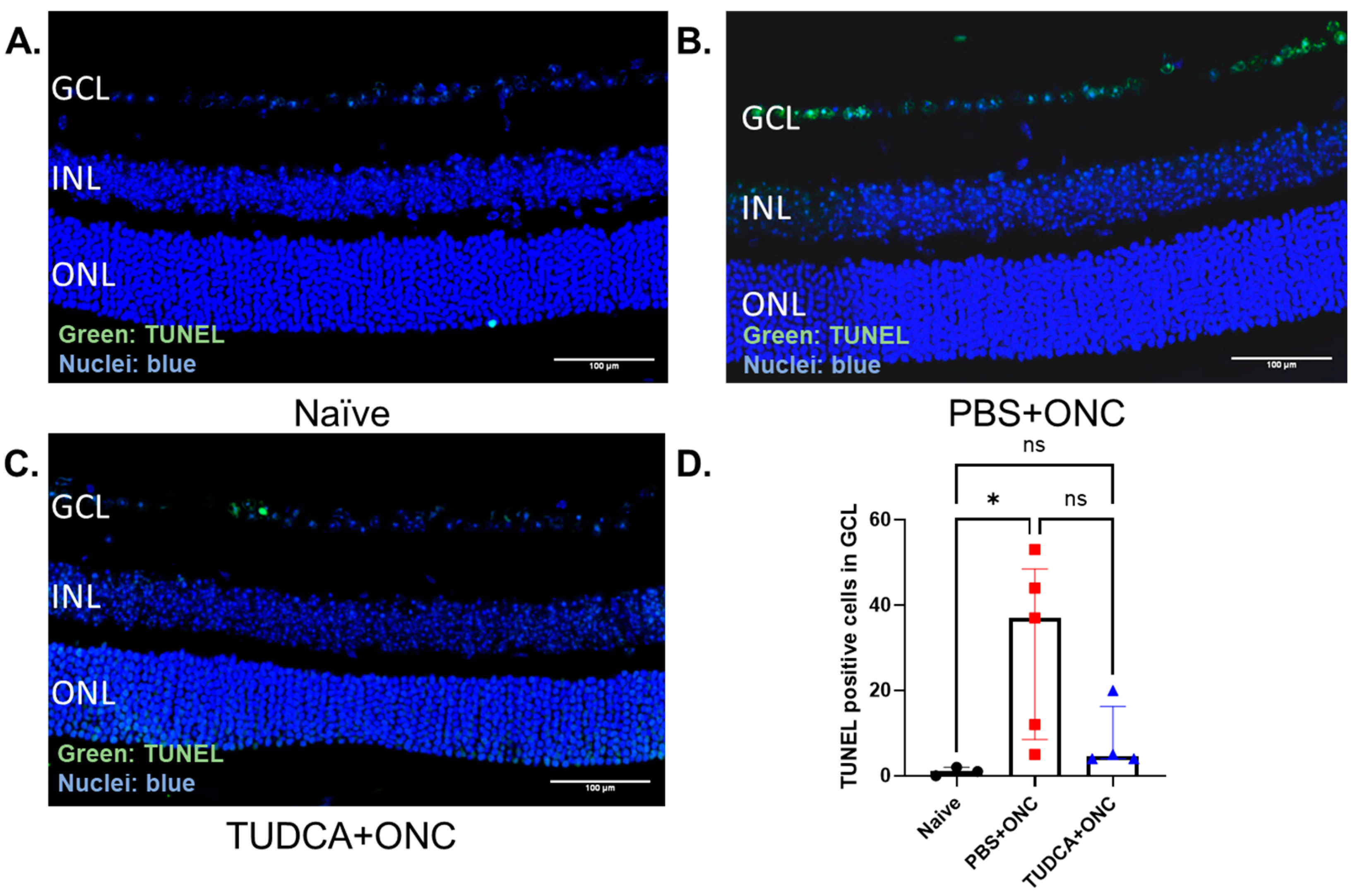 Pharmaceuticals 18 00569 g003