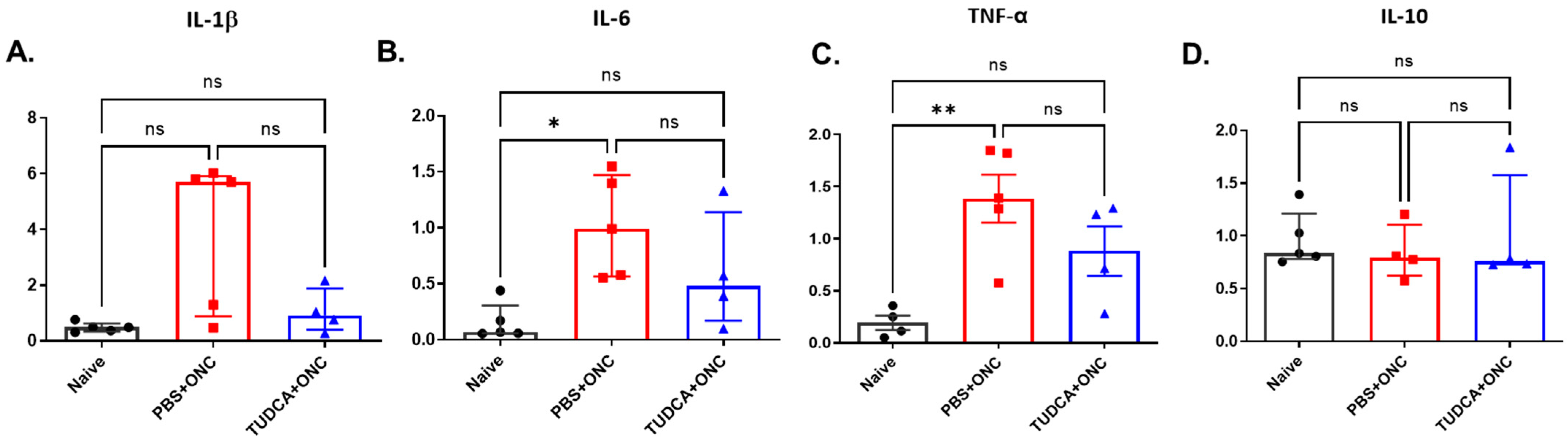 Pharmaceuticals 18 00569 g005
