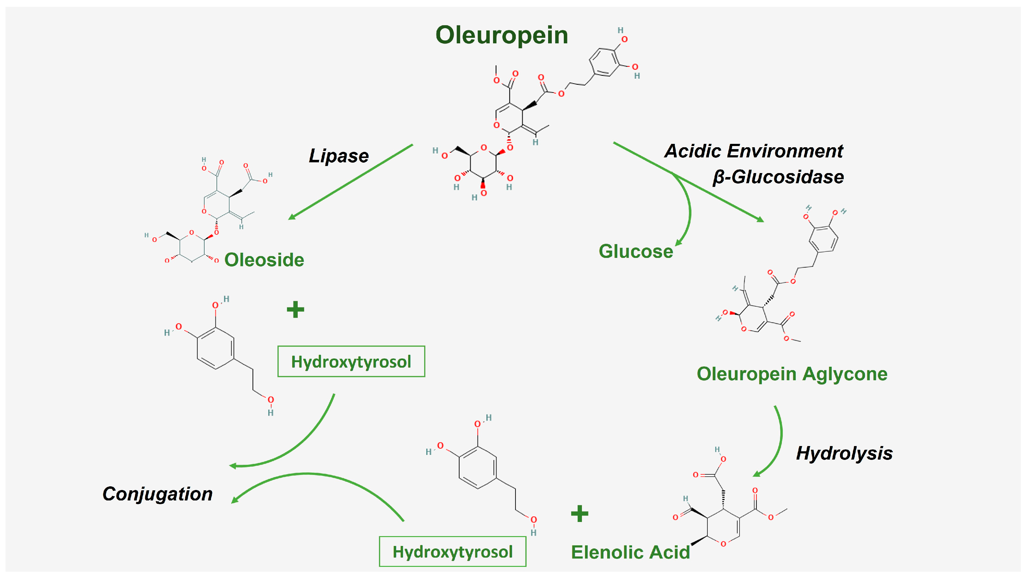 Pharmaceuticals 18 00573 g002
