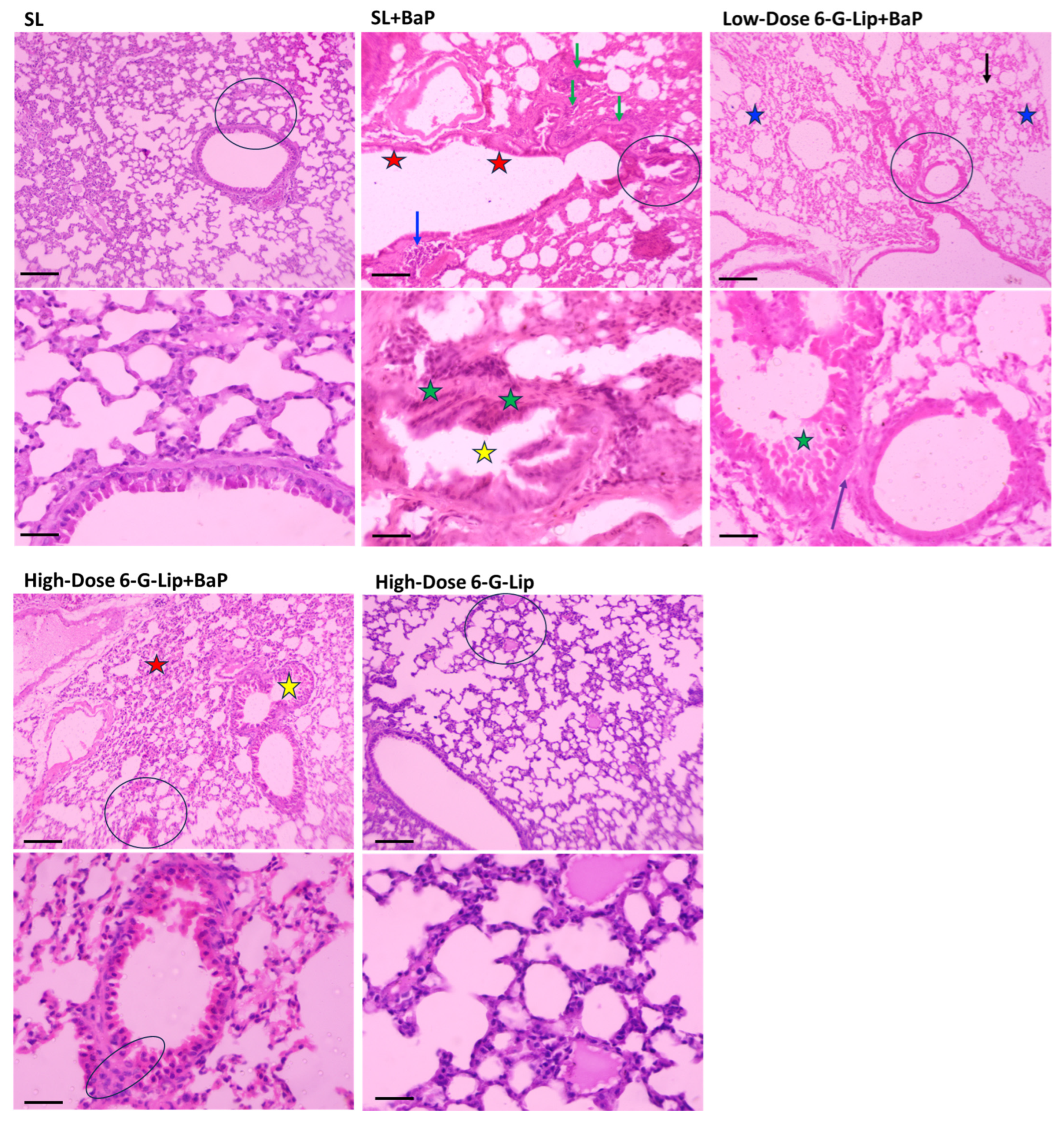 Pharmaceuticals 18 00574 g008