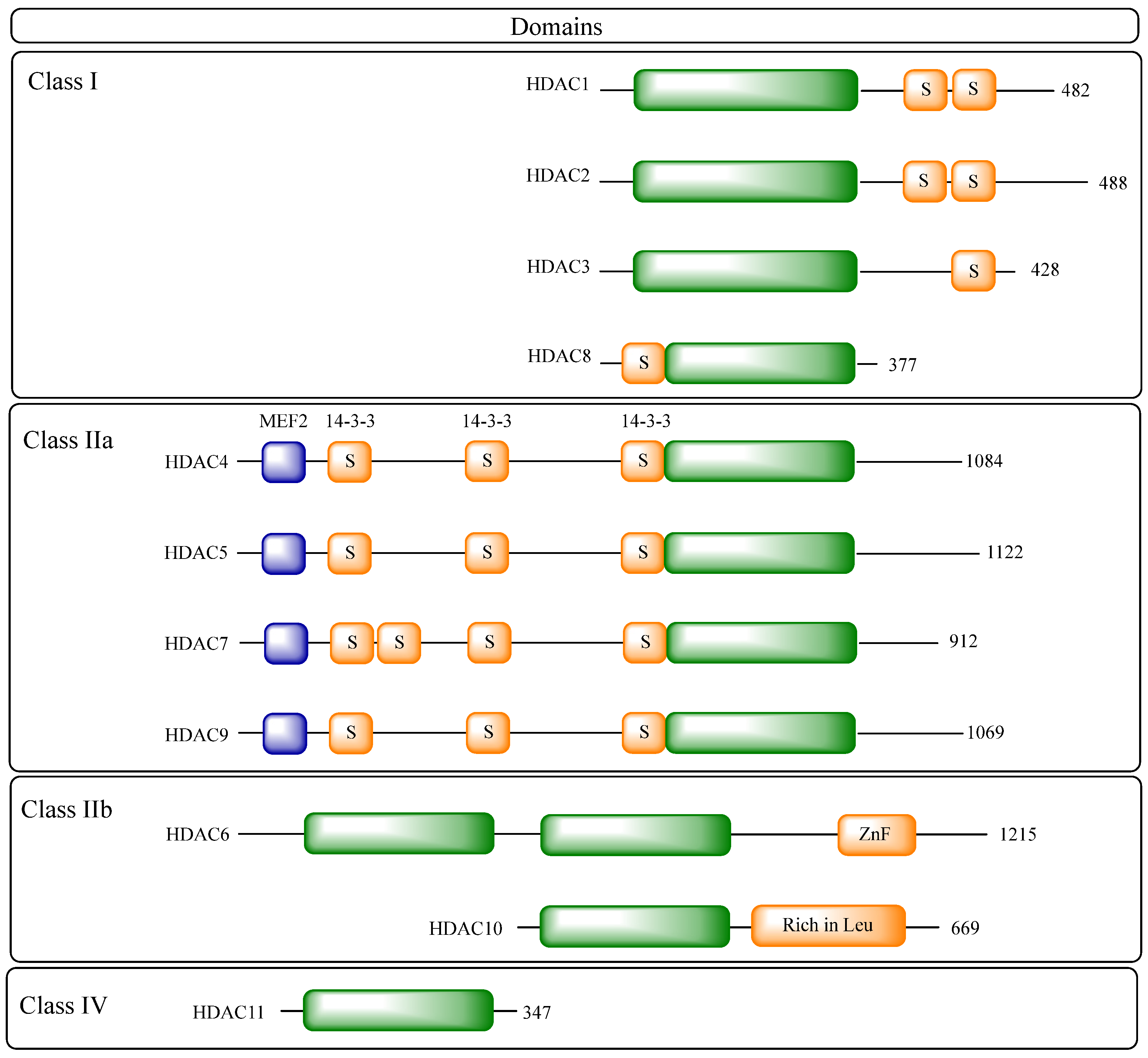 Pharmaceuticals 18 00577 g003