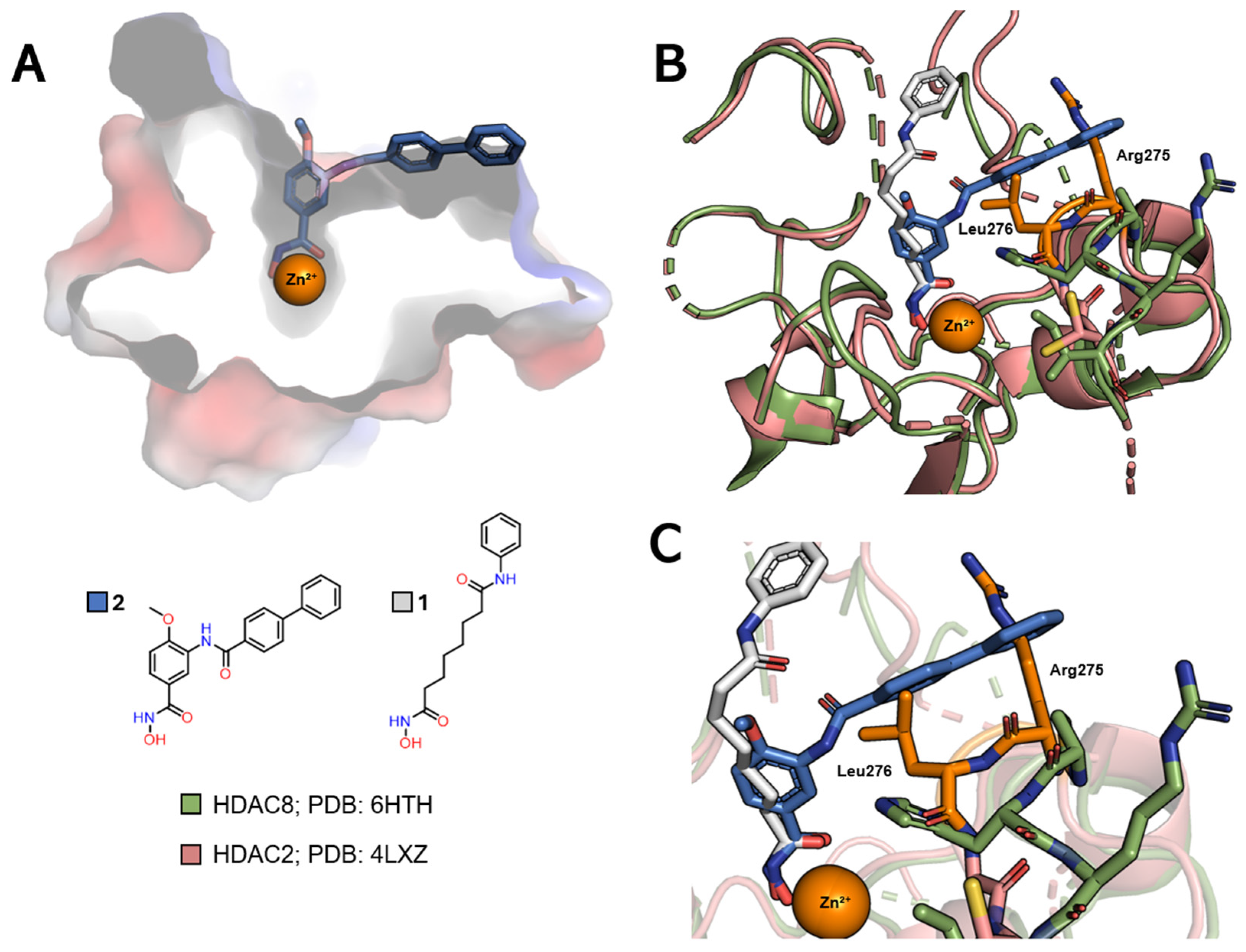 Pharmaceuticals 18 00577 g007