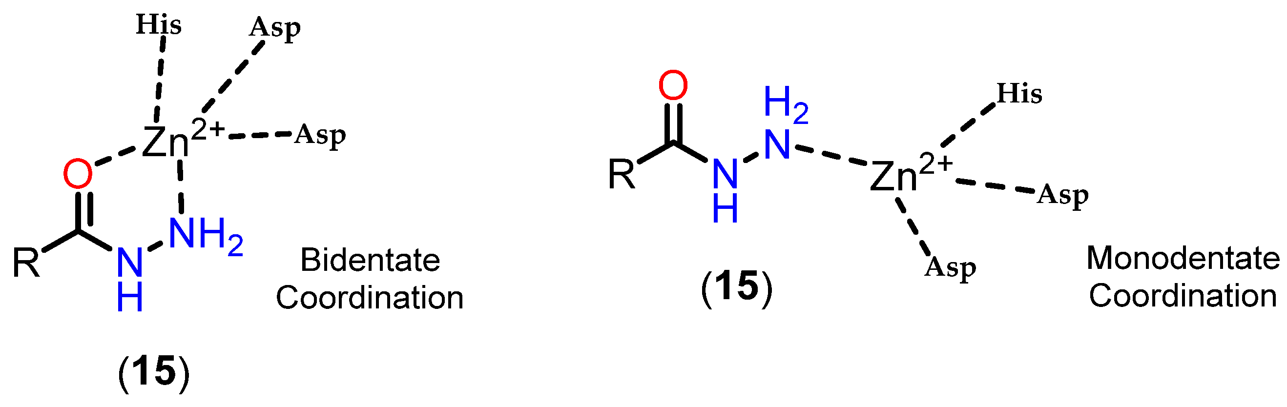 Pharmaceuticals 18 00577 g017
