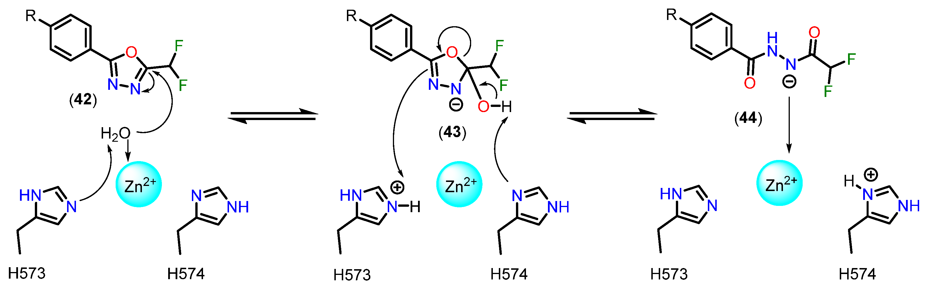 Pharmaceuticals 18 00577 g020
