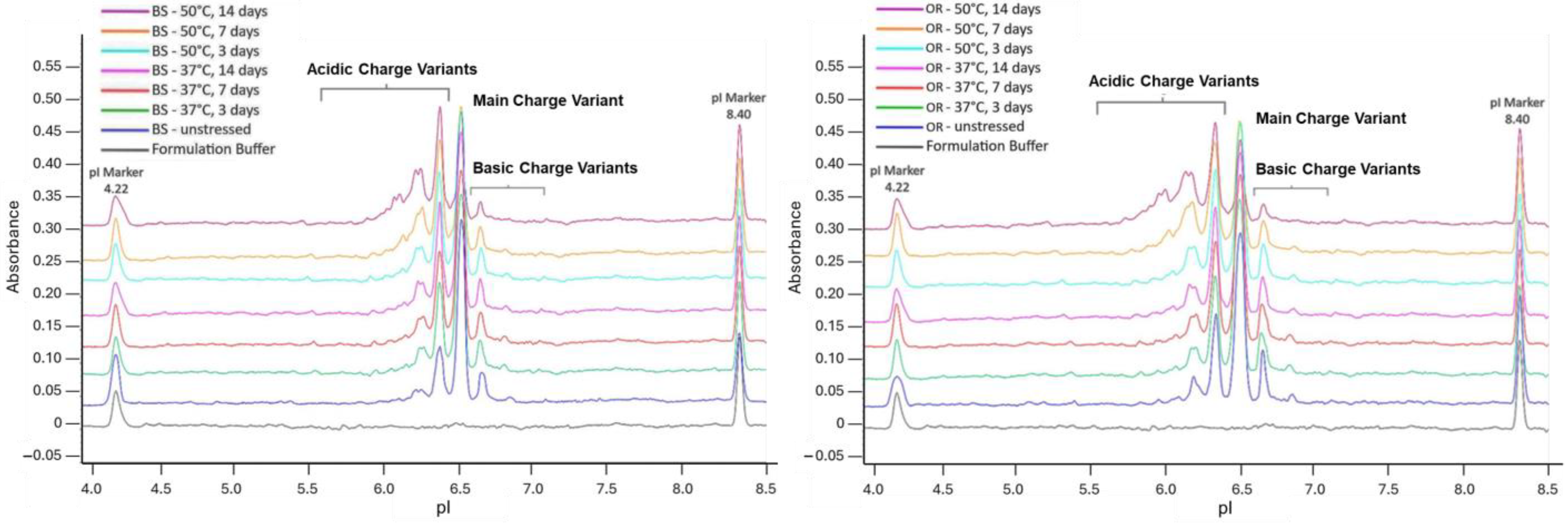 Pharmaceuticals 18 00579 g002 Pharmaceuticals 18 00579 g002