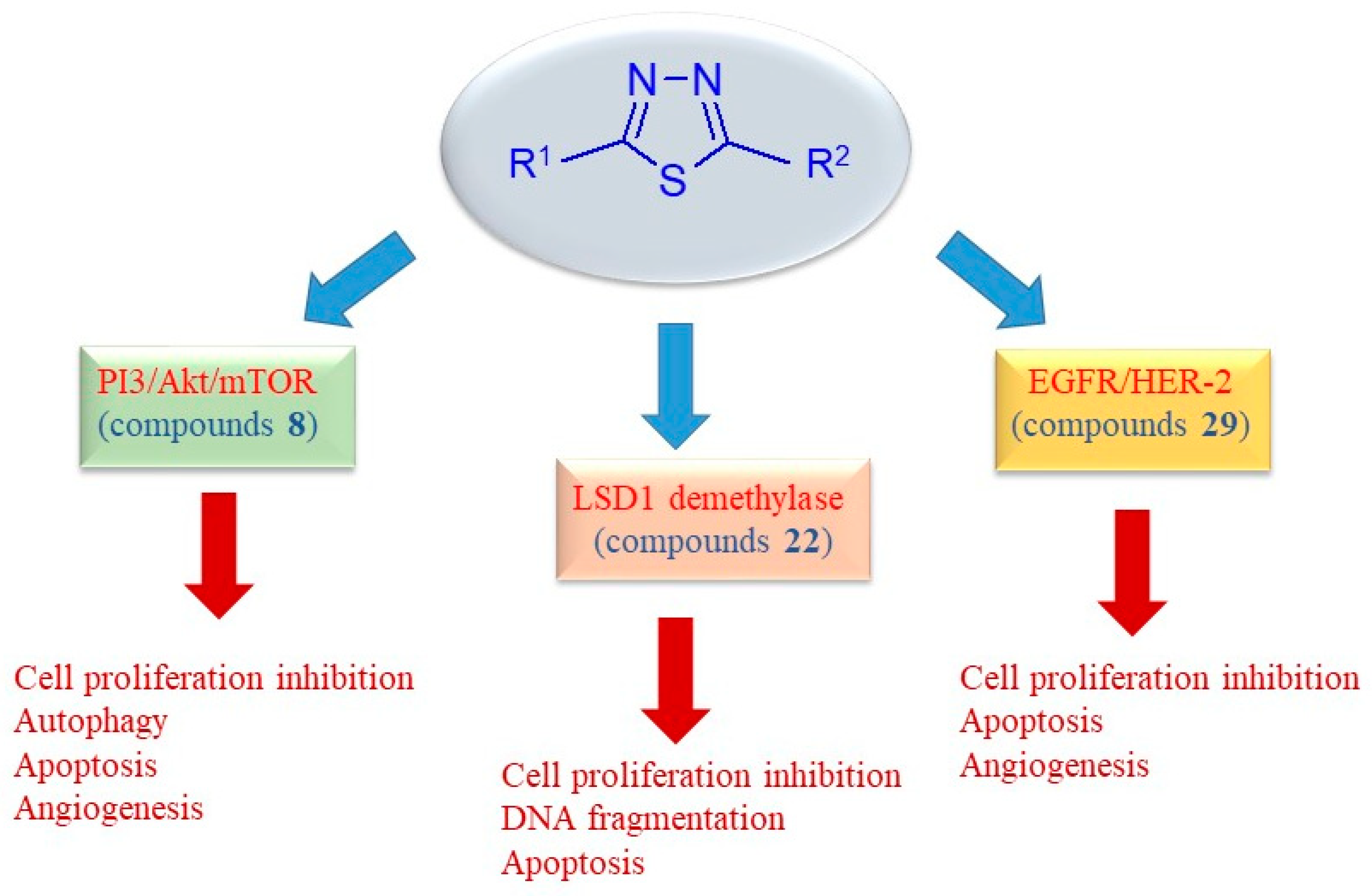 Pharmaceuticals 18 00580 g006