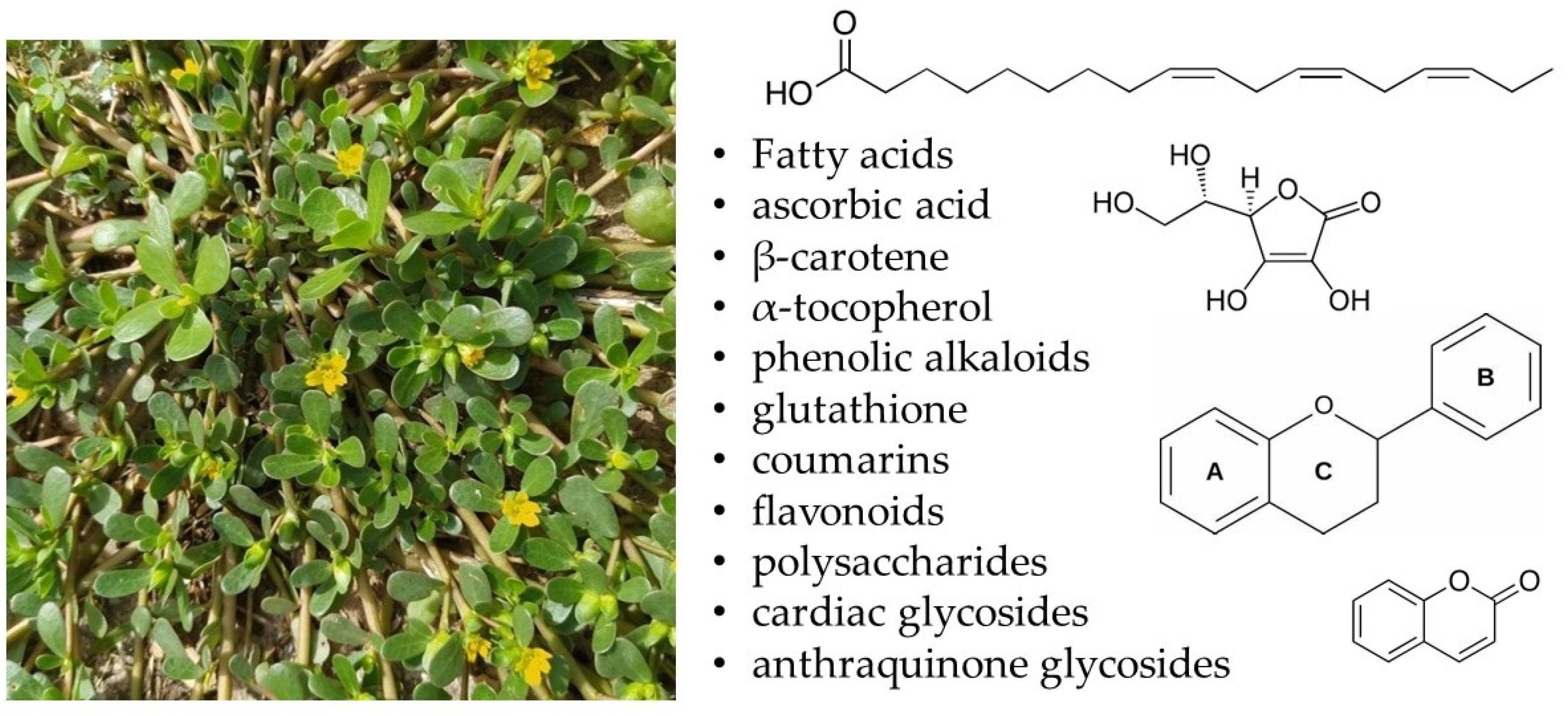 Pharmaceuticals 18 00587 g001