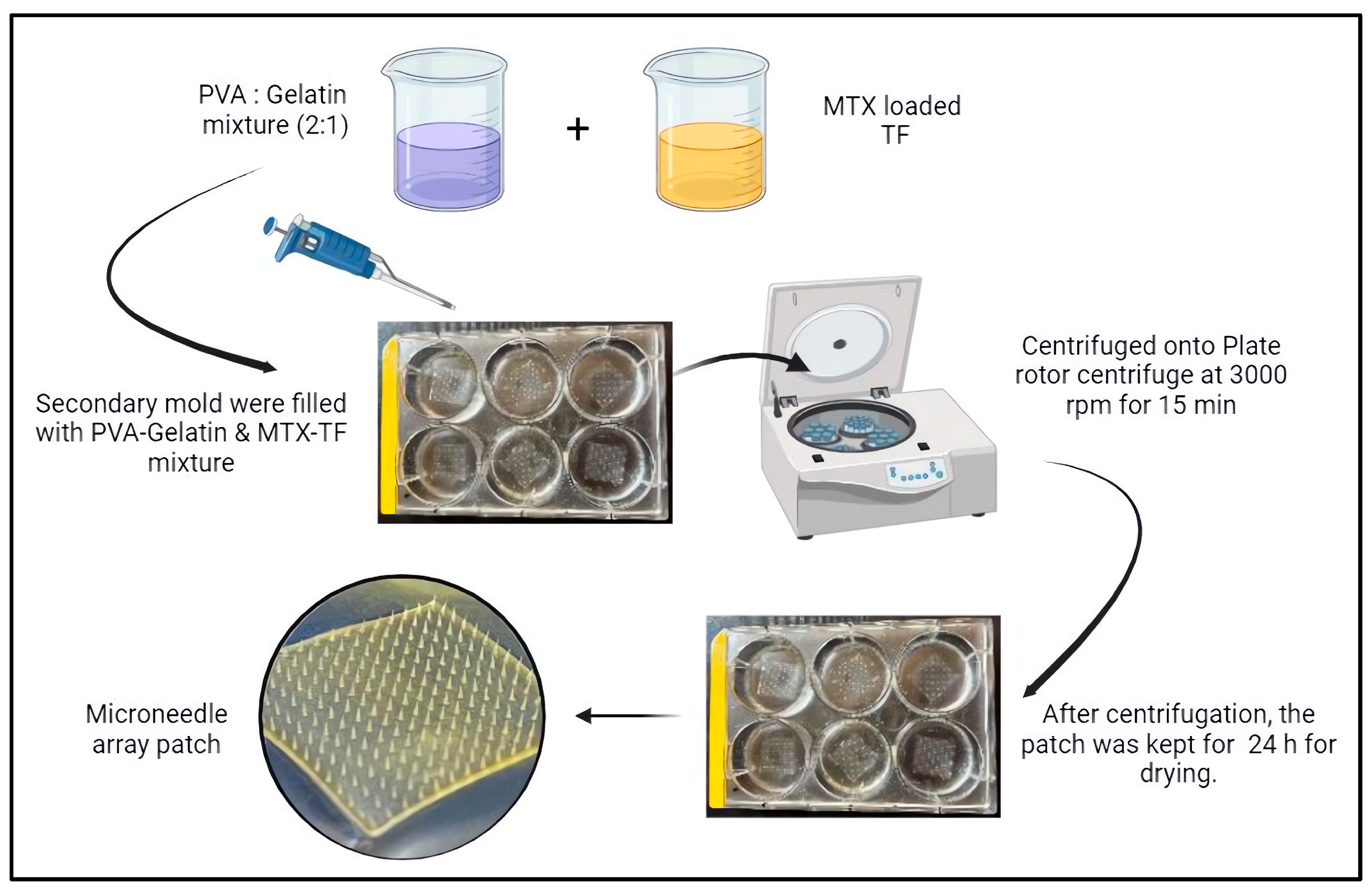 Pharmaceuticals 18 00594 g013