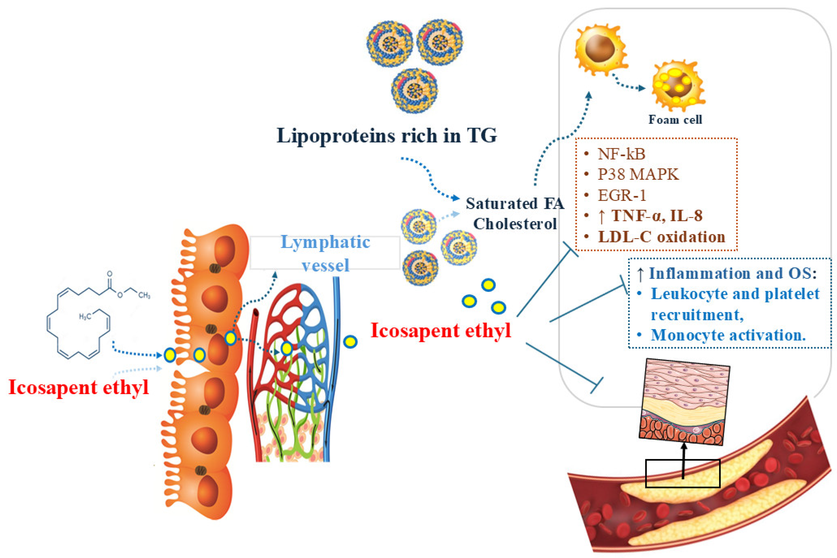 Pharmaceuticals 18 00601 g001