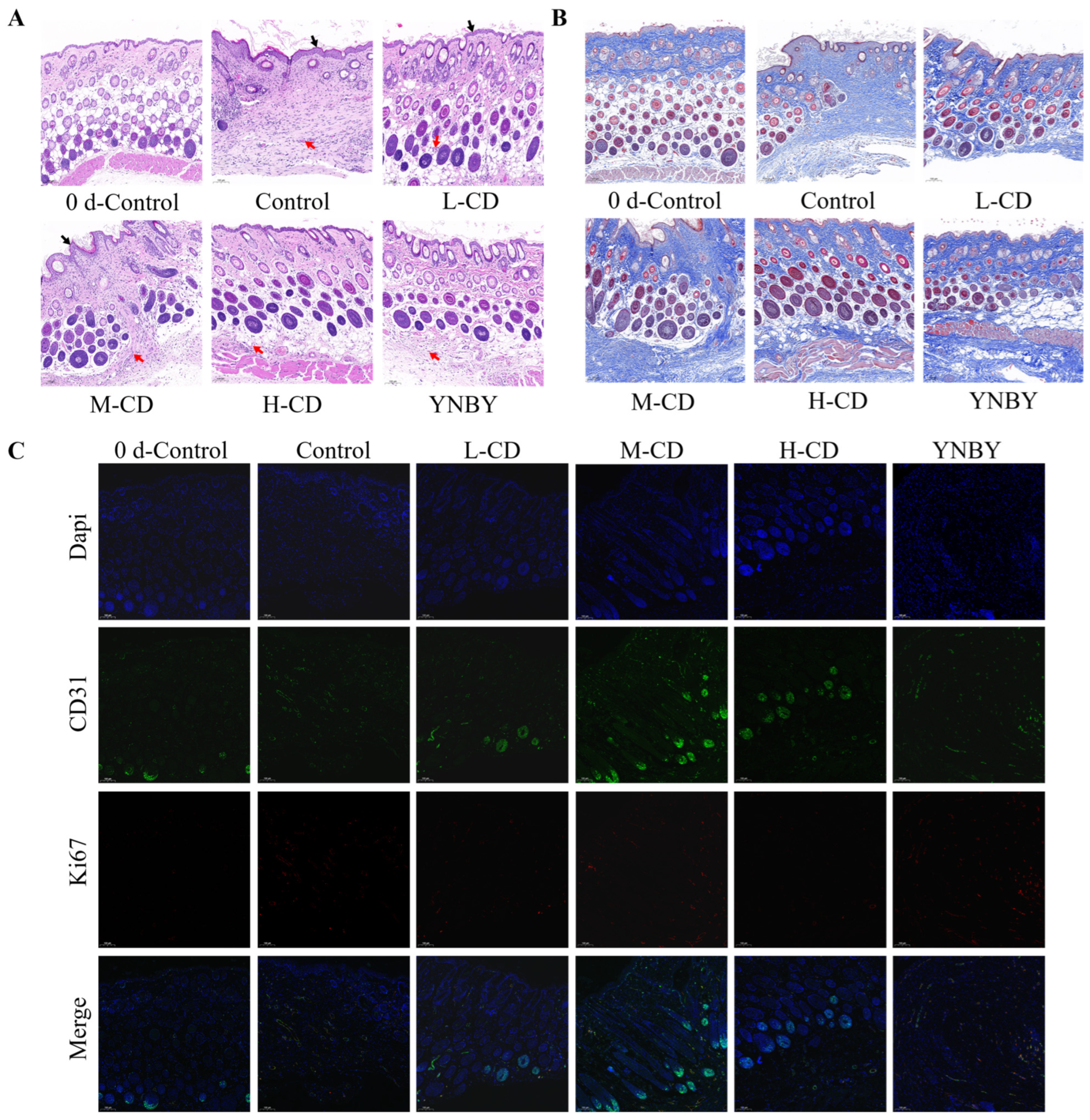 Pharmaceuticals 18 00603 g006