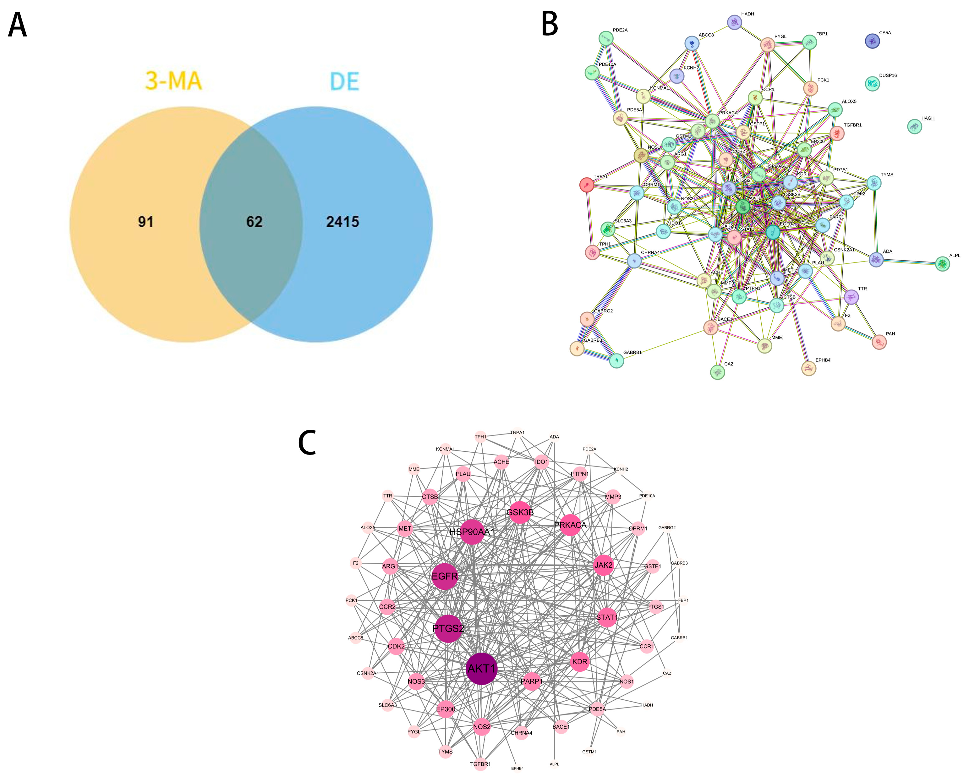 Pharmaceuticals 18 00605 g001