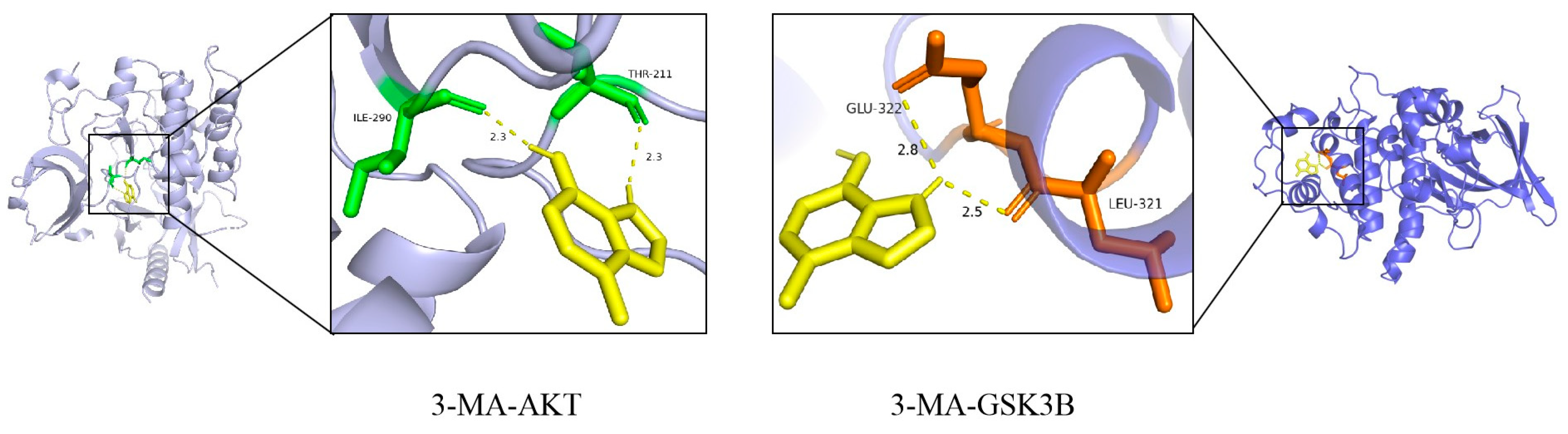 Pharmaceuticals 18 00605 g003