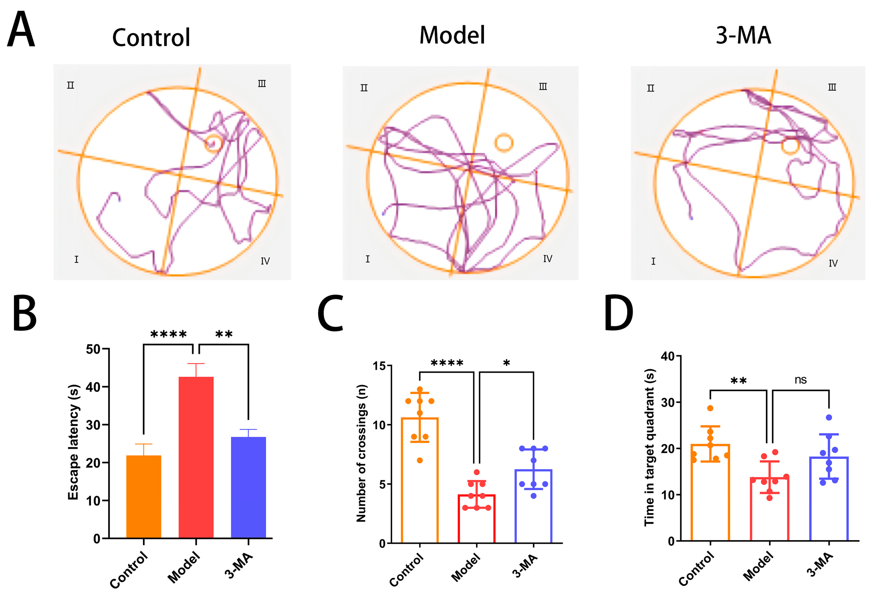 Pharmaceuticals 18 00605 g005
