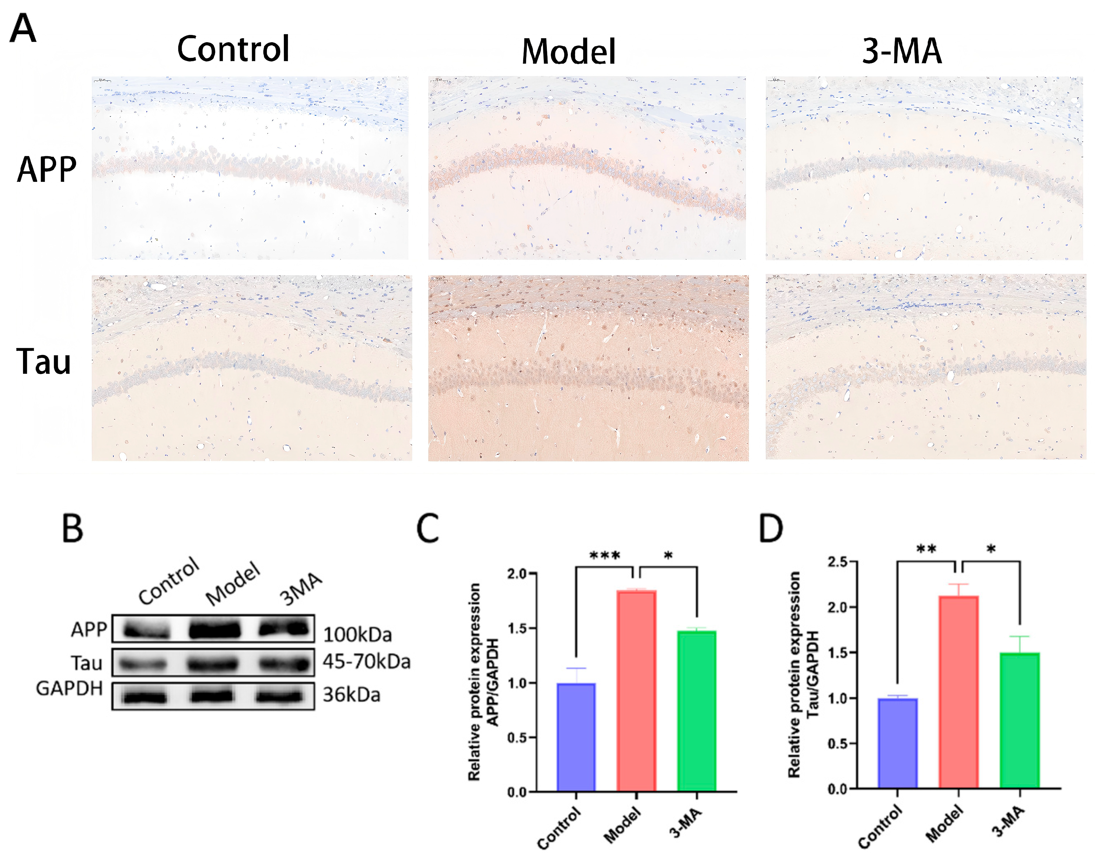 Pharmaceuticals 18 00605 g007