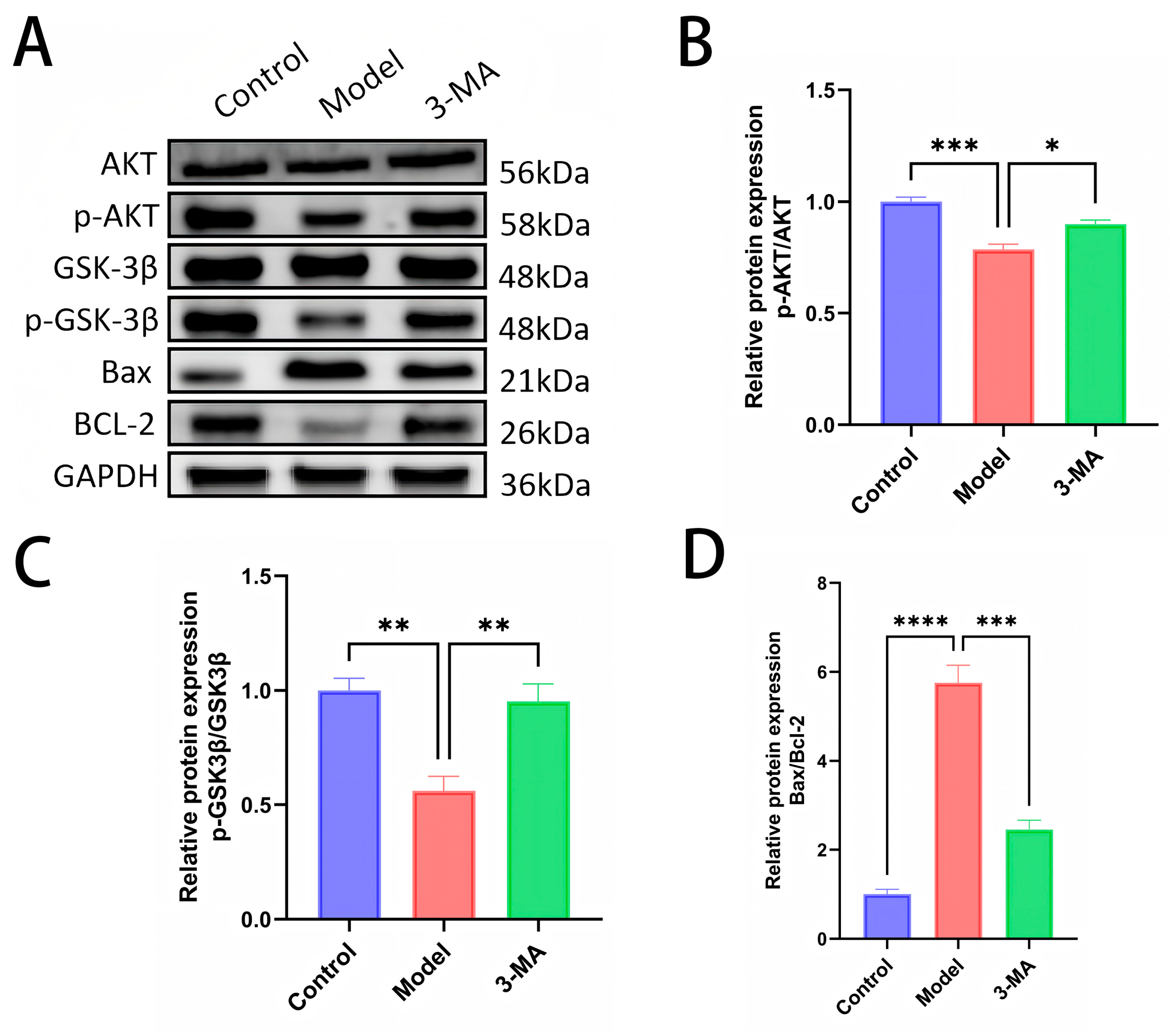 Pharmaceuticals 18 00605 g008