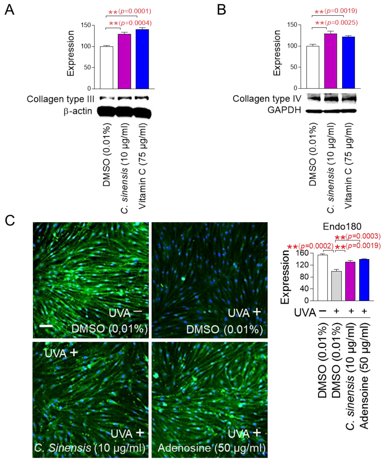 Pharmaceuticals 18 00612 g005