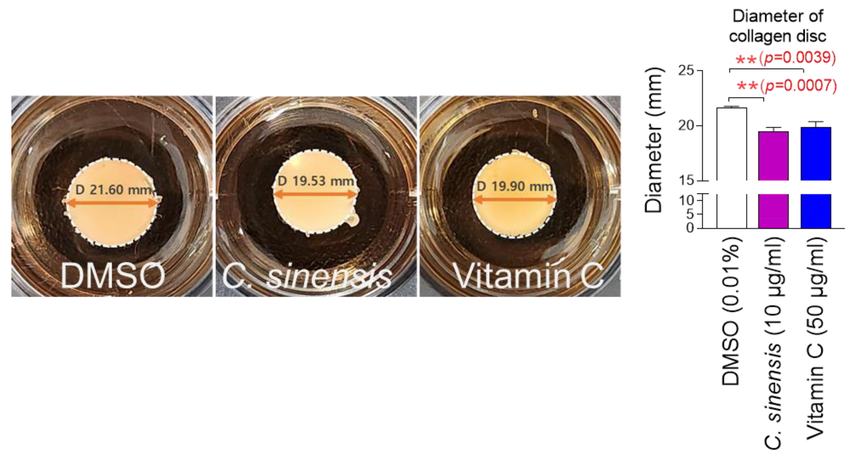 Pharmaceuticals 18 00612 g006