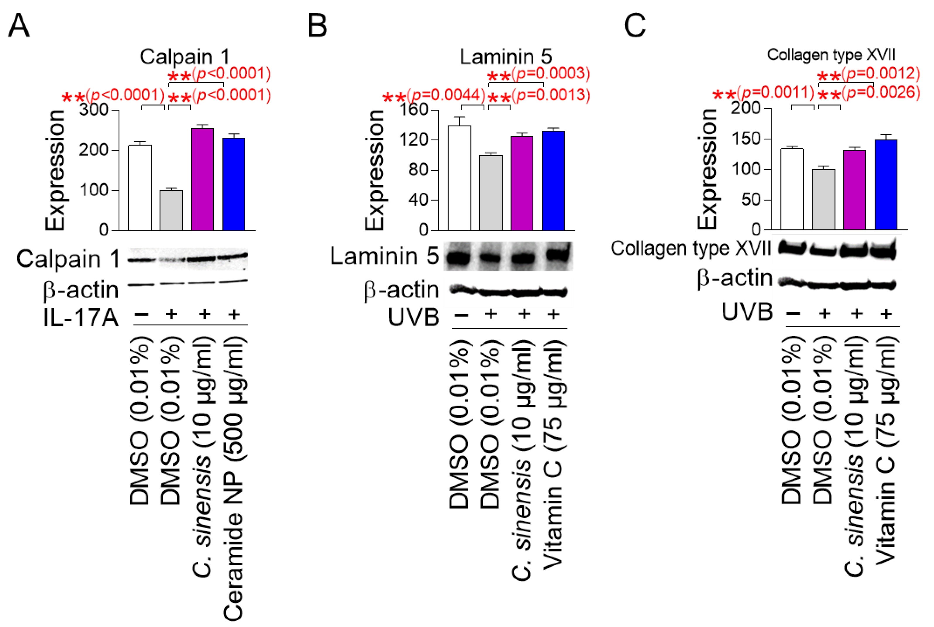 Pharmaceuticals 18 00612 g007