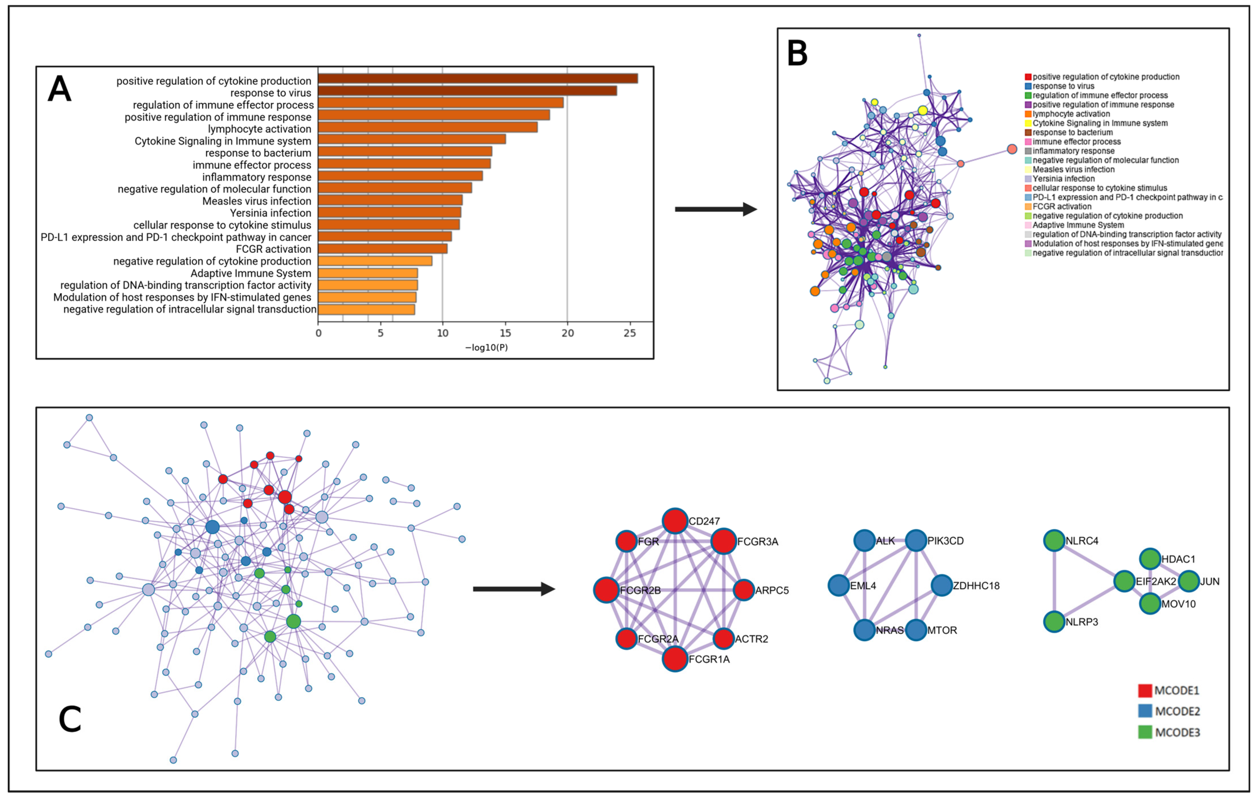 Pharmaceuticals 18 00613 g003