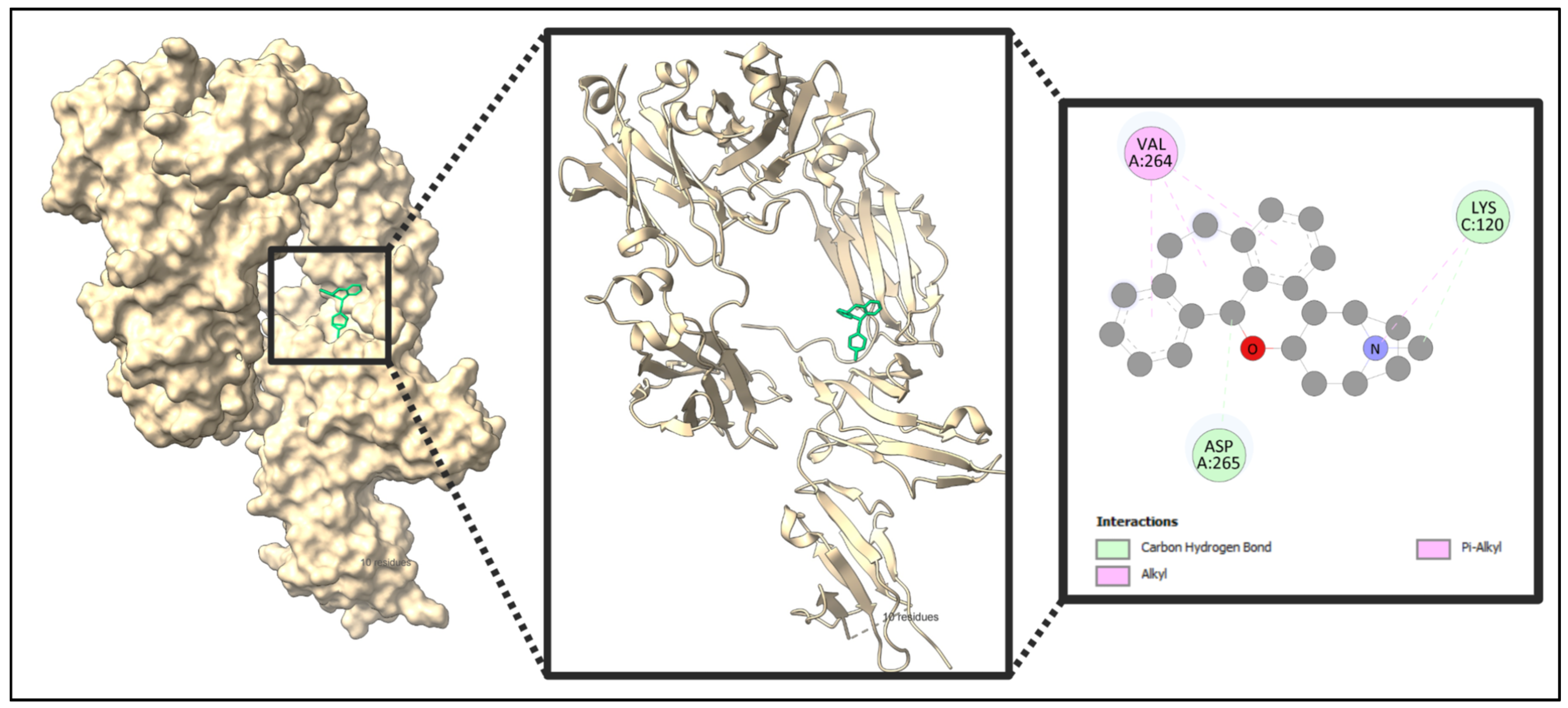 Pharmaceuticals 18 00613 g011