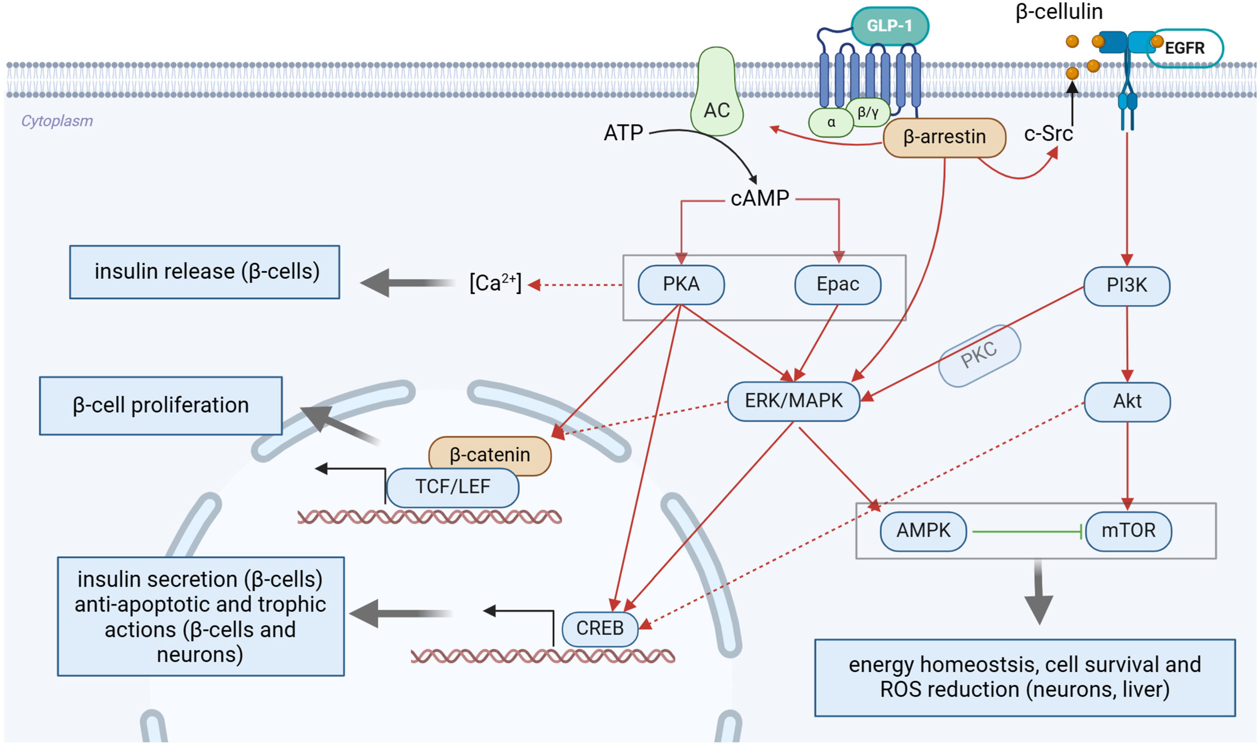 Pharmaceuticals 18 00614 g001