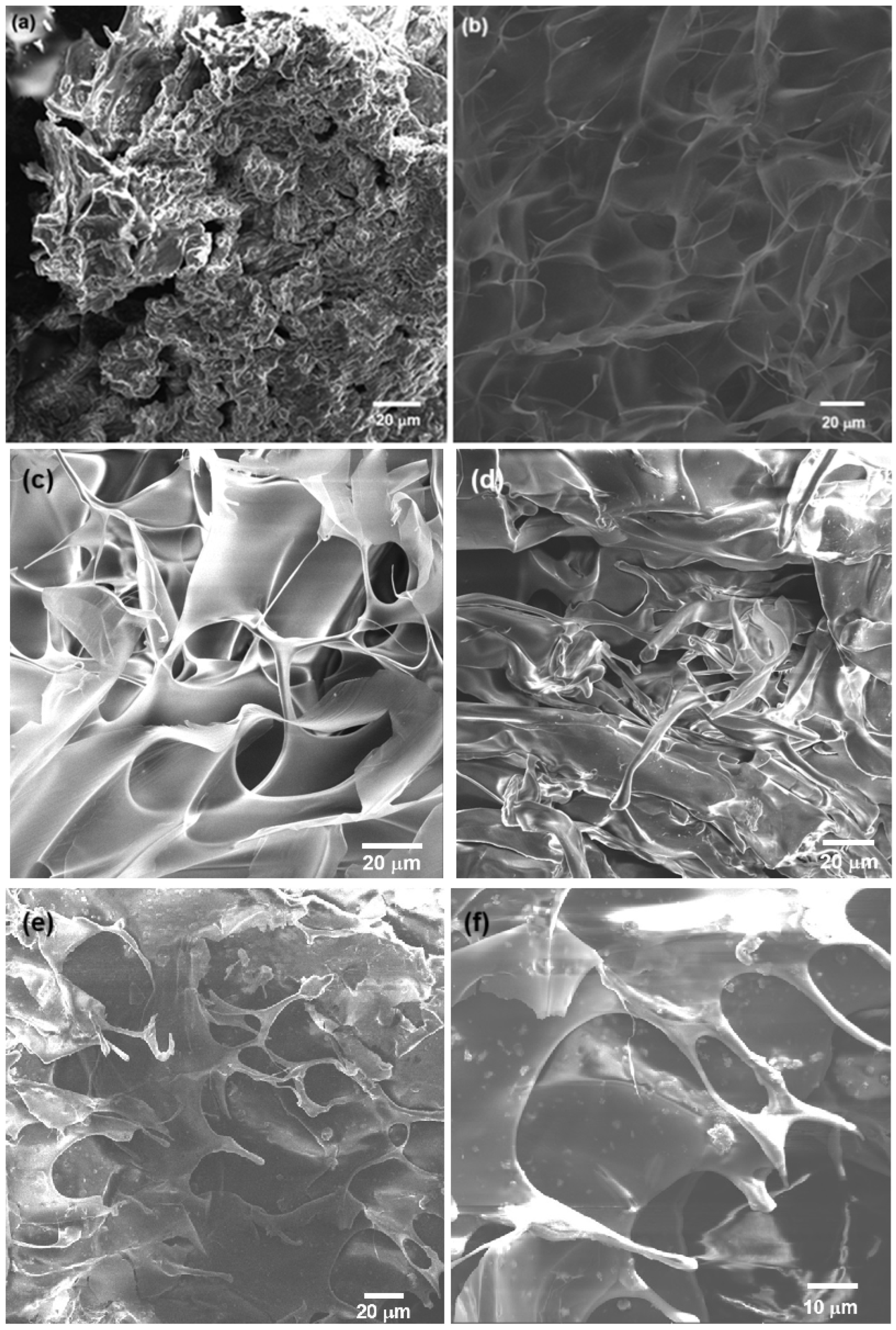 Pharmaceuticals 18 00616 g004