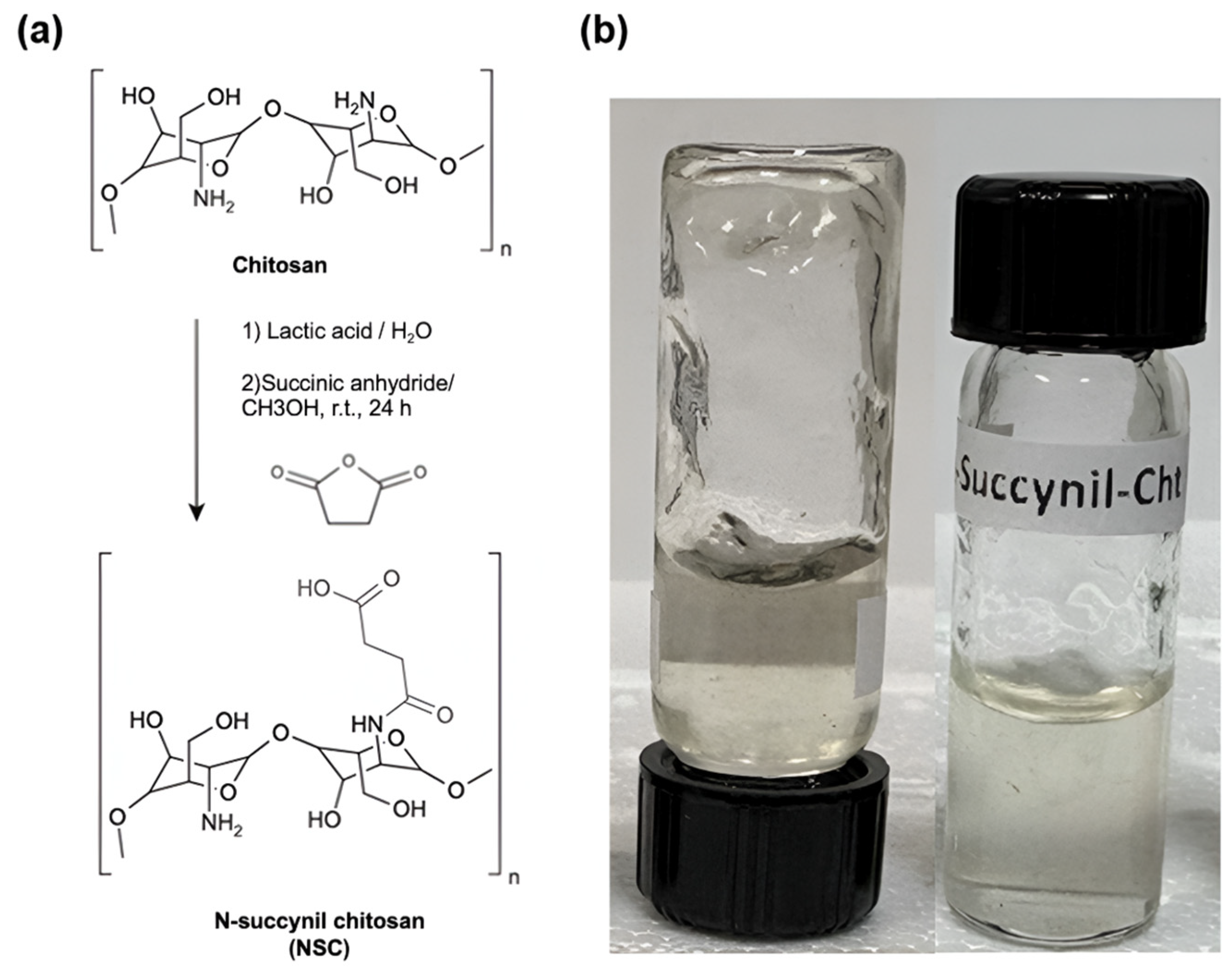 Pharmaceuticals 18 00616 sch003