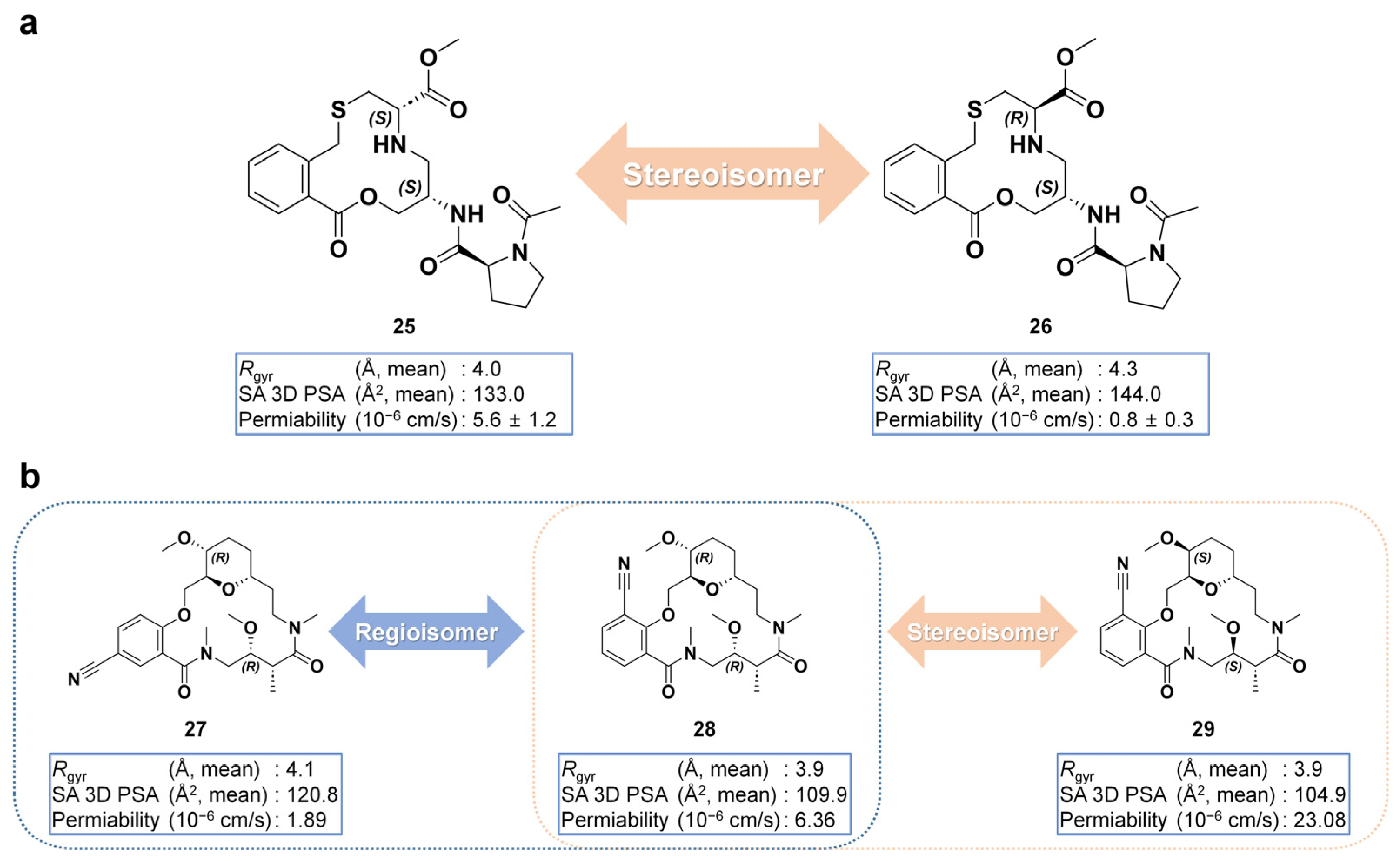 Pharmaceuticals 18 00617 g003