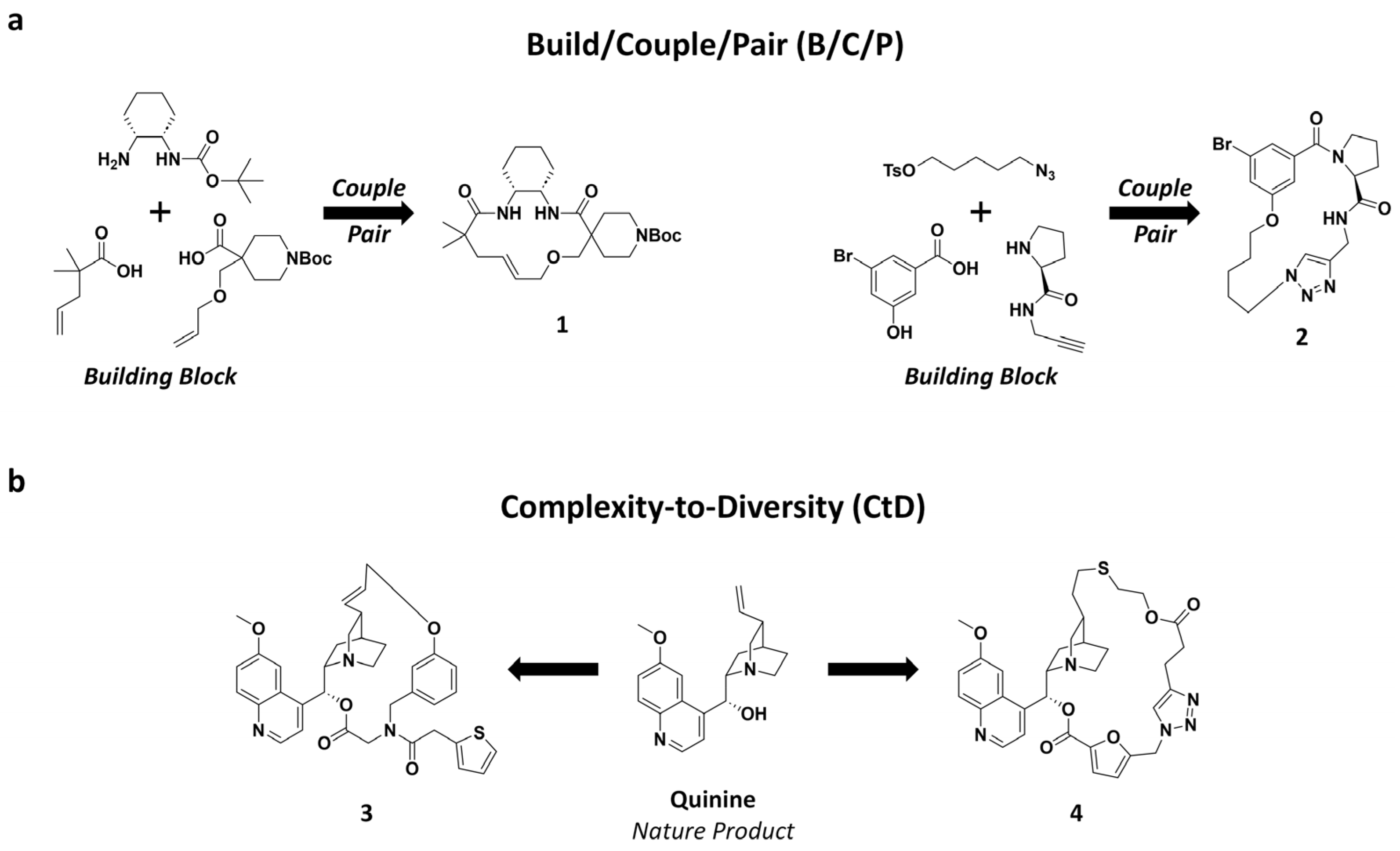 Pharmaceuticals 18 00617 sch001