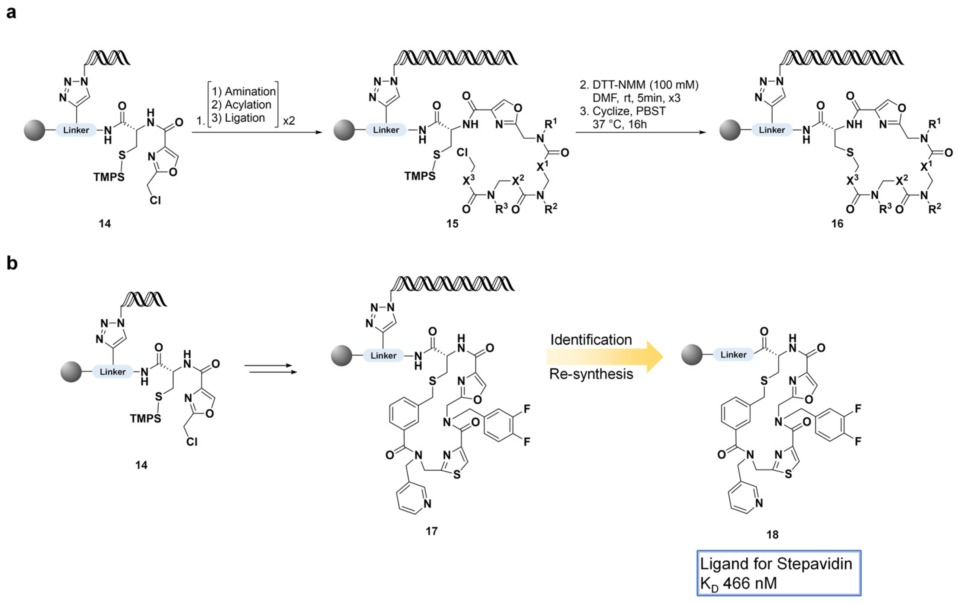 Pharmaceuticals 18 00617 sch004