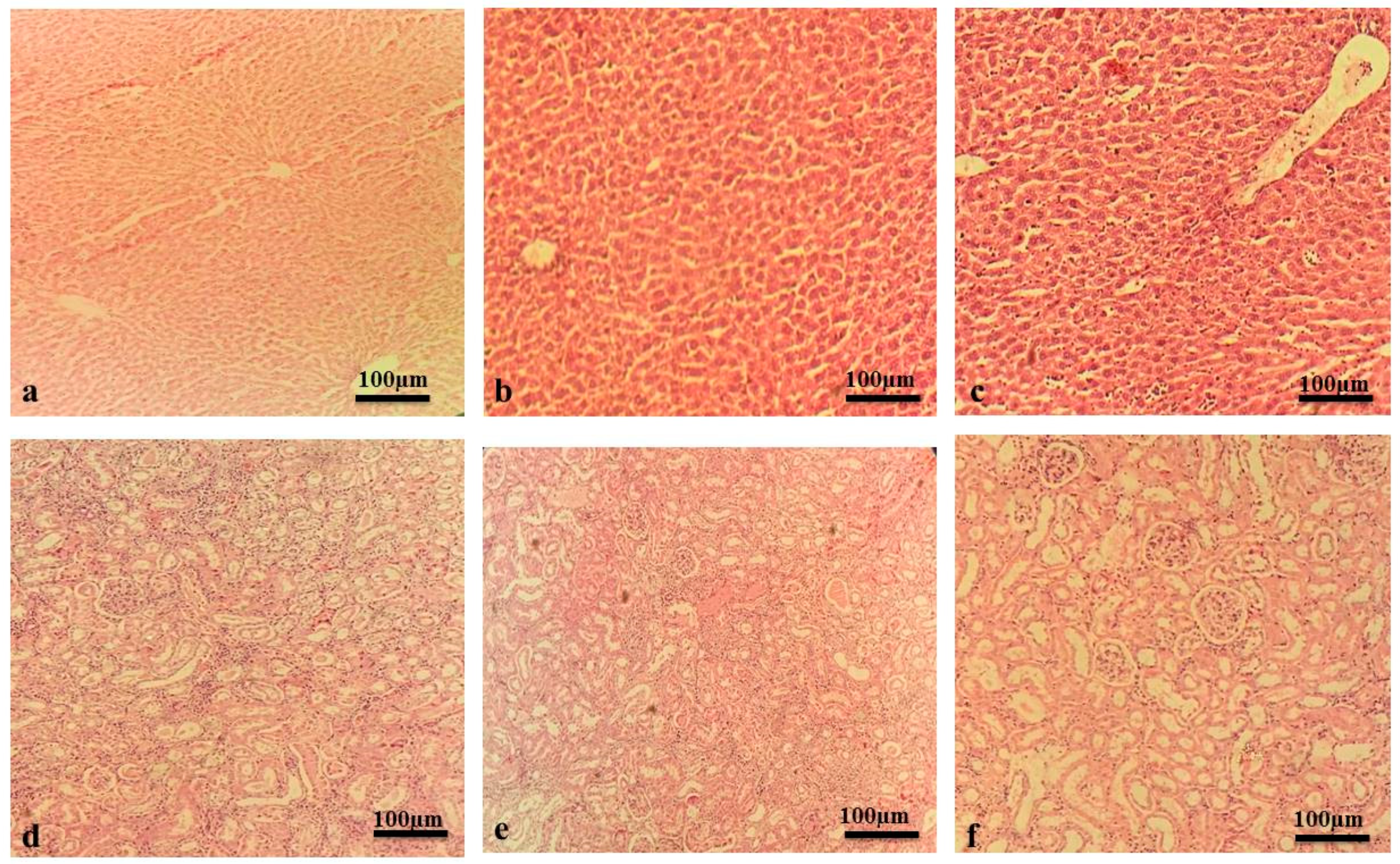 Pharmaceuticals 18 00641 g002