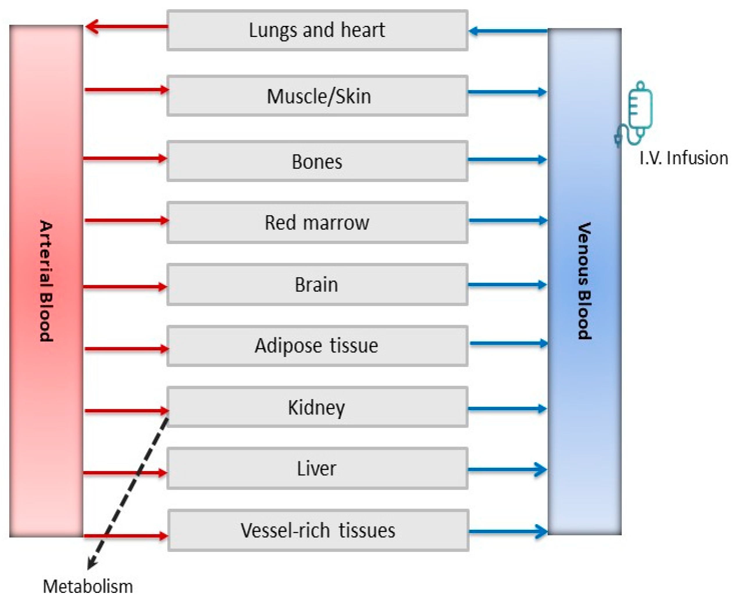 Pharmaceuticals 18 00653 g006 Pharmaceuticals 18 00653 g006