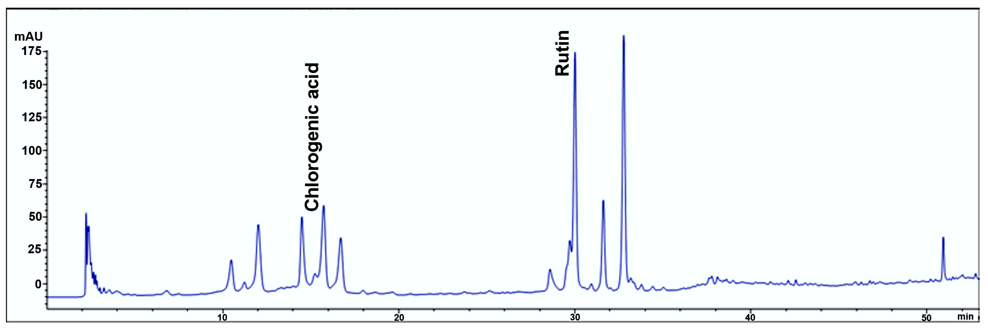 Pharmaceuticals 18 00706 g001 Pharmaceuticals 18 00706 g001