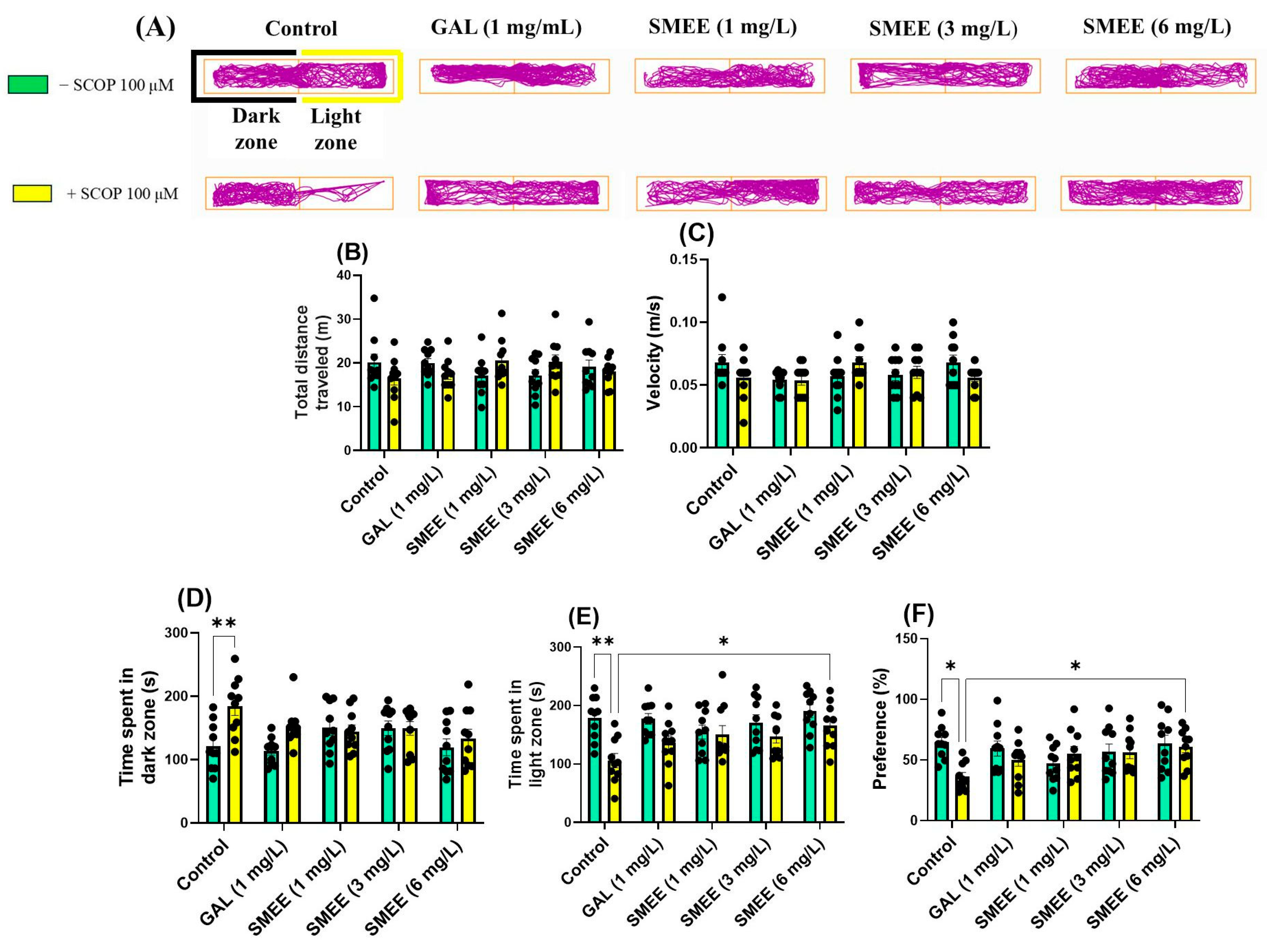 Pharmaceuticals 18 00706 g005 Pharmaceuticals 18 00706 g005