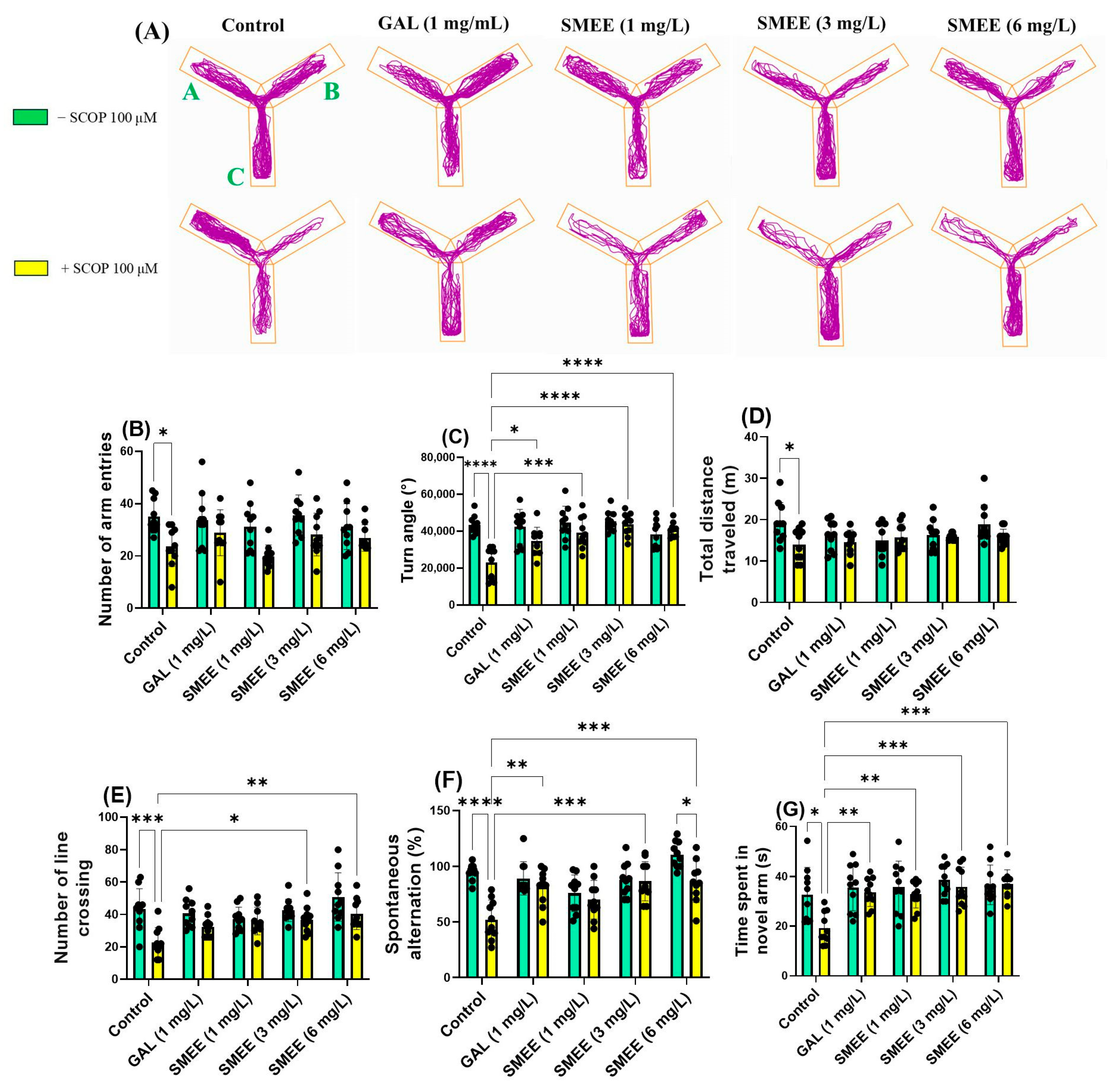 Pharmaceuticals 18 00706 g007 Pharmaceuticals 18 00706 g007